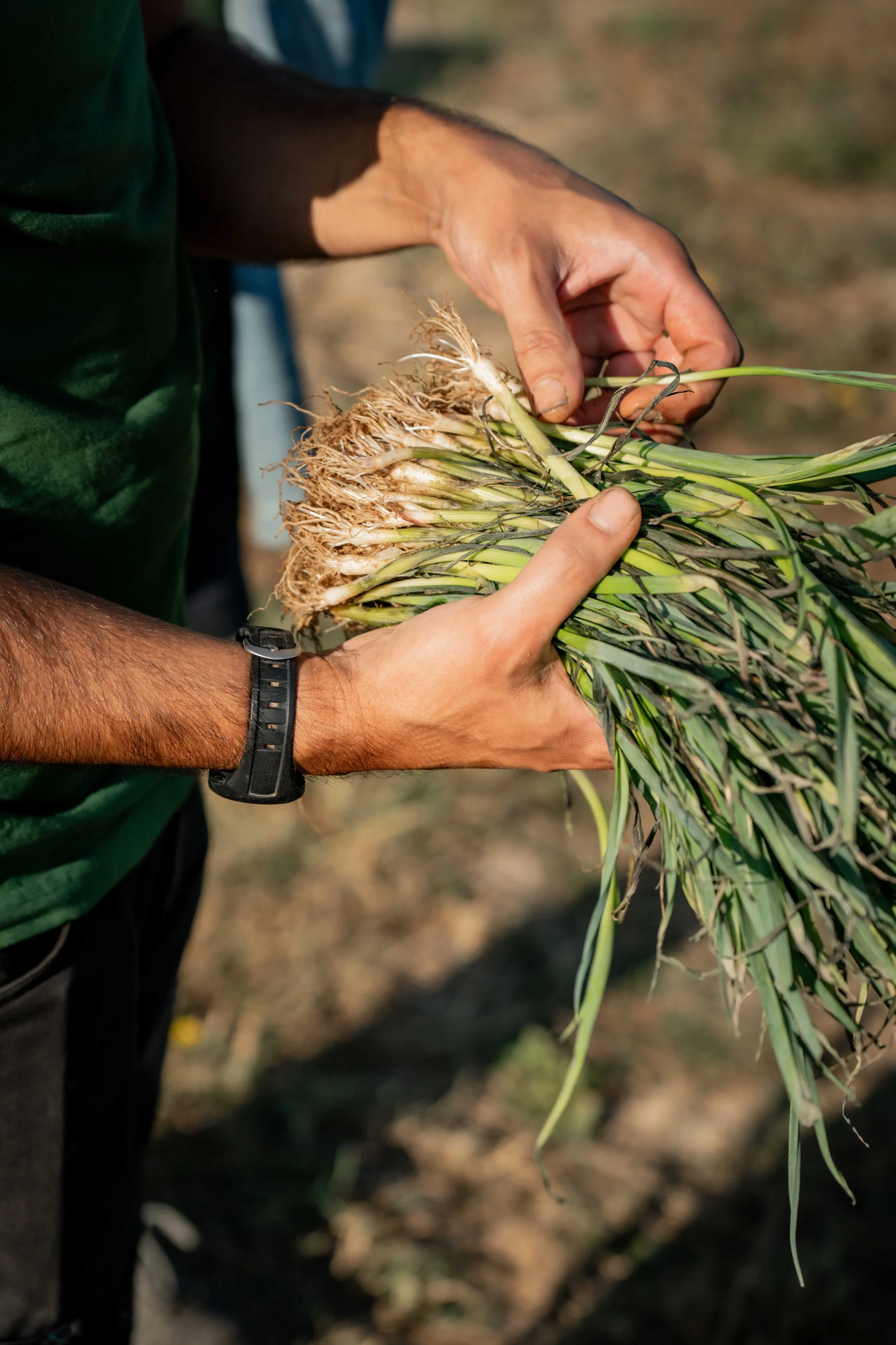 Reportage Photo corporate métiers pour CULTIVE Centre de Formation de producteurs à Montaigu-Vendée | Charlyne Labarre