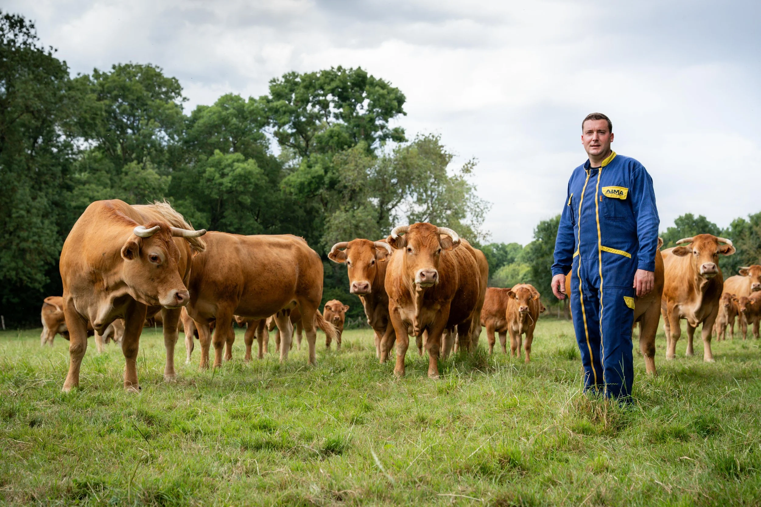 Un homme en combinaison bleue et jaune se tient dans un champ entouré de vaches brunes, avec des arbres en fond et un ciel nuageux.