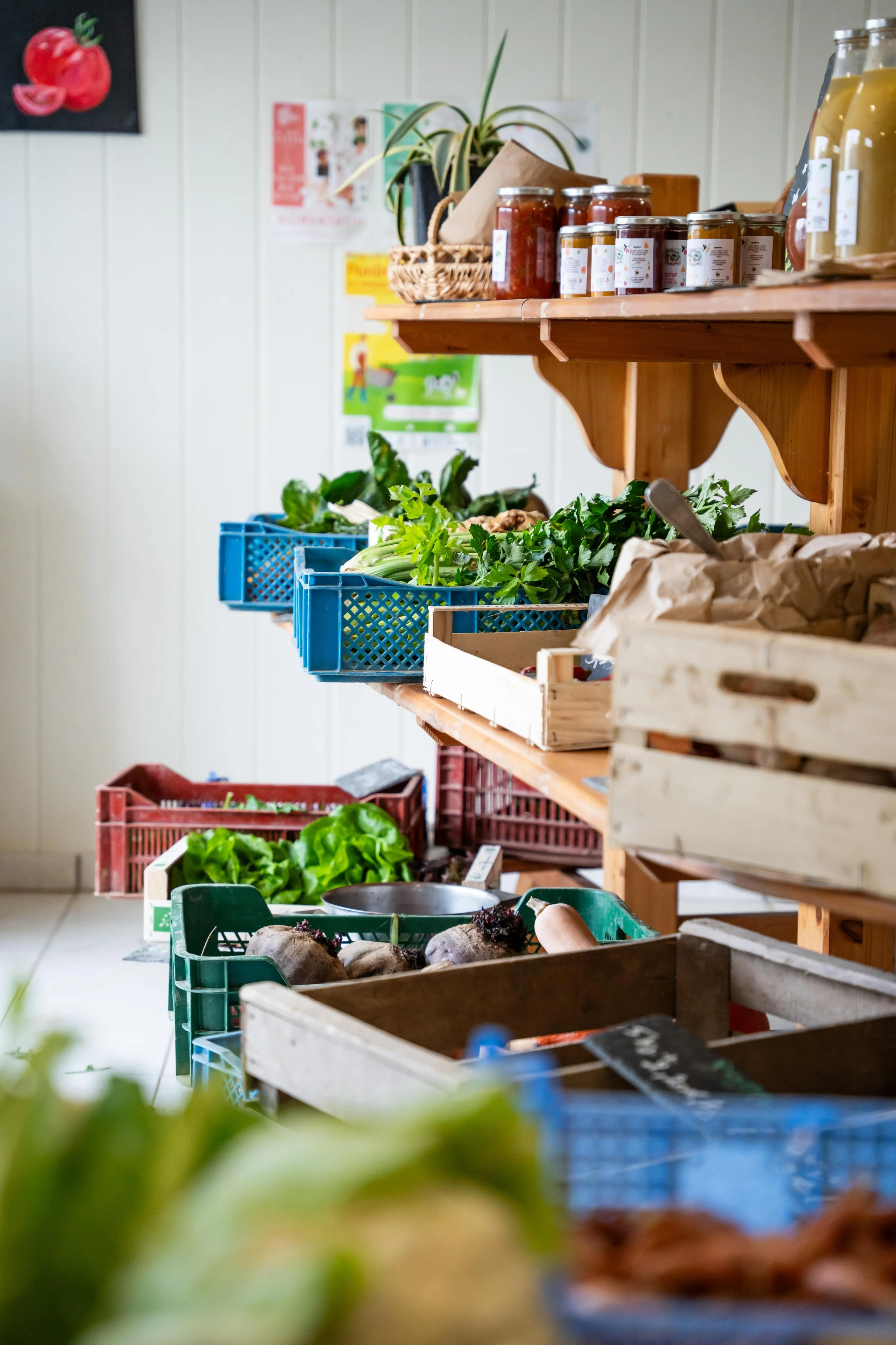 Matière BD 2026 s2©Charlyne Labarre-74.jpg