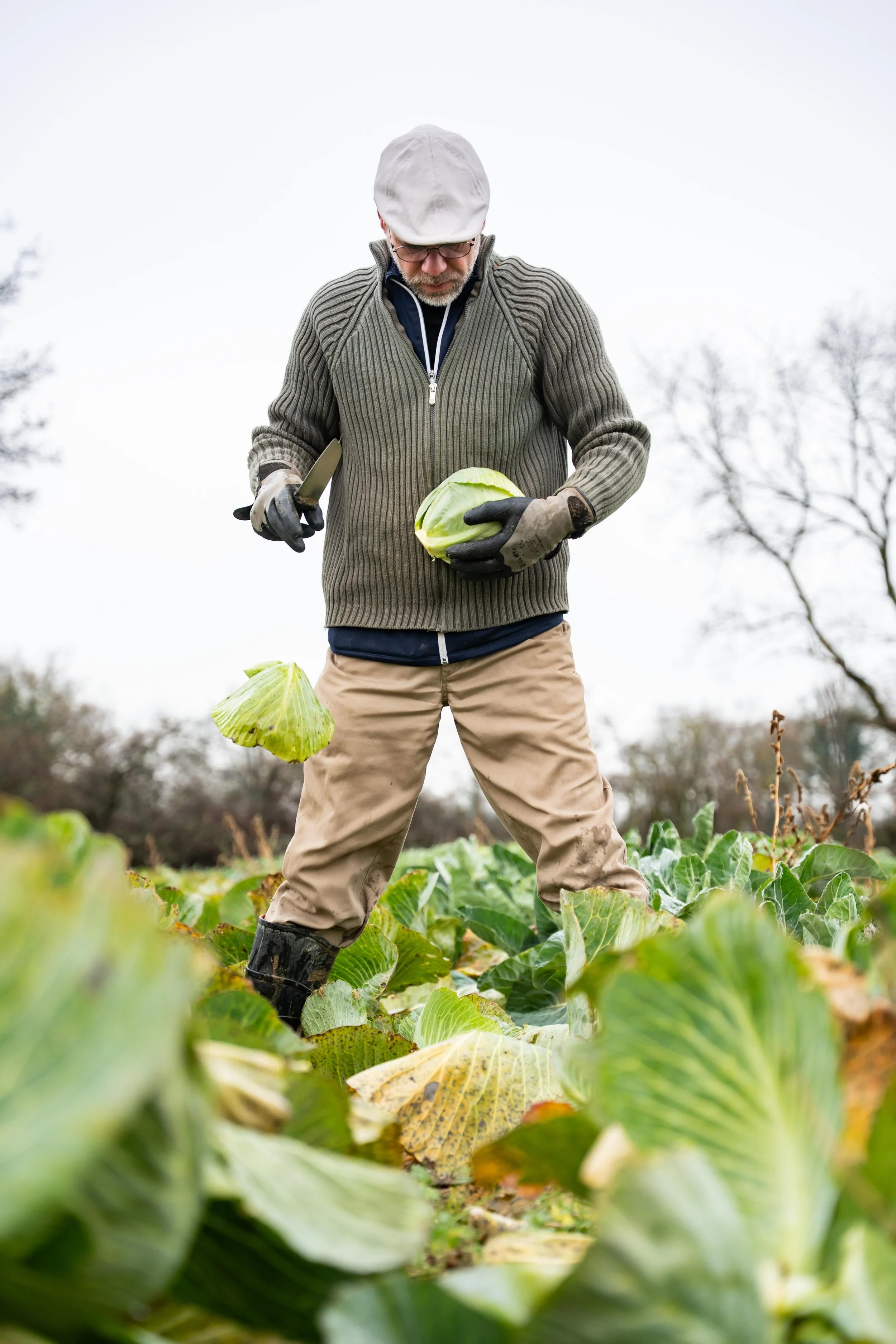 Les Jardins de l’Aubépine