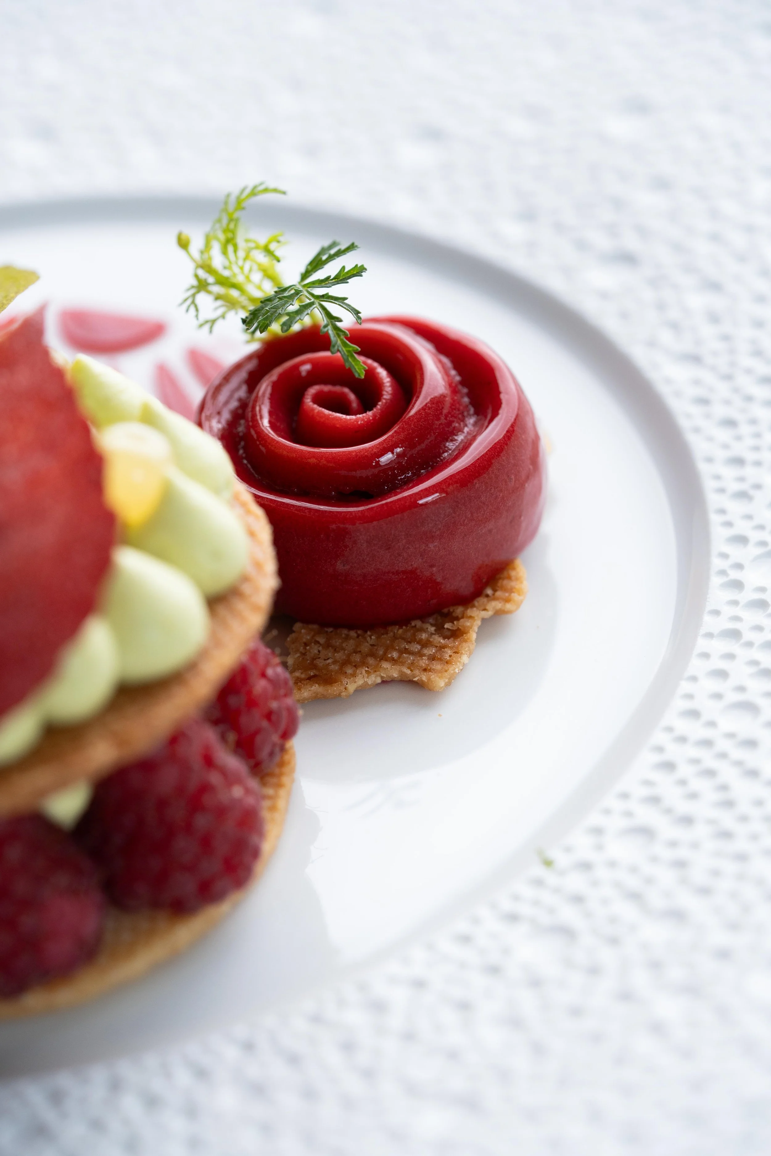 Com 2025 BD©Charlyne Labarre-321 copie.jpg