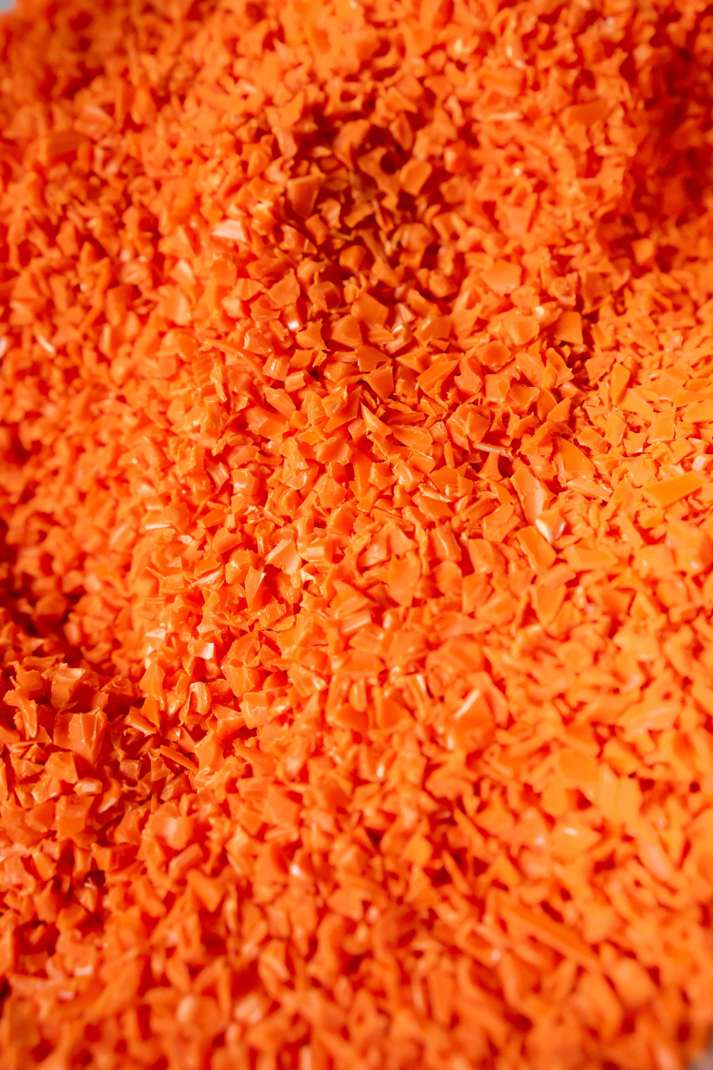 Matière BD 2026 s2©Charlyne Labarre-28.jpg