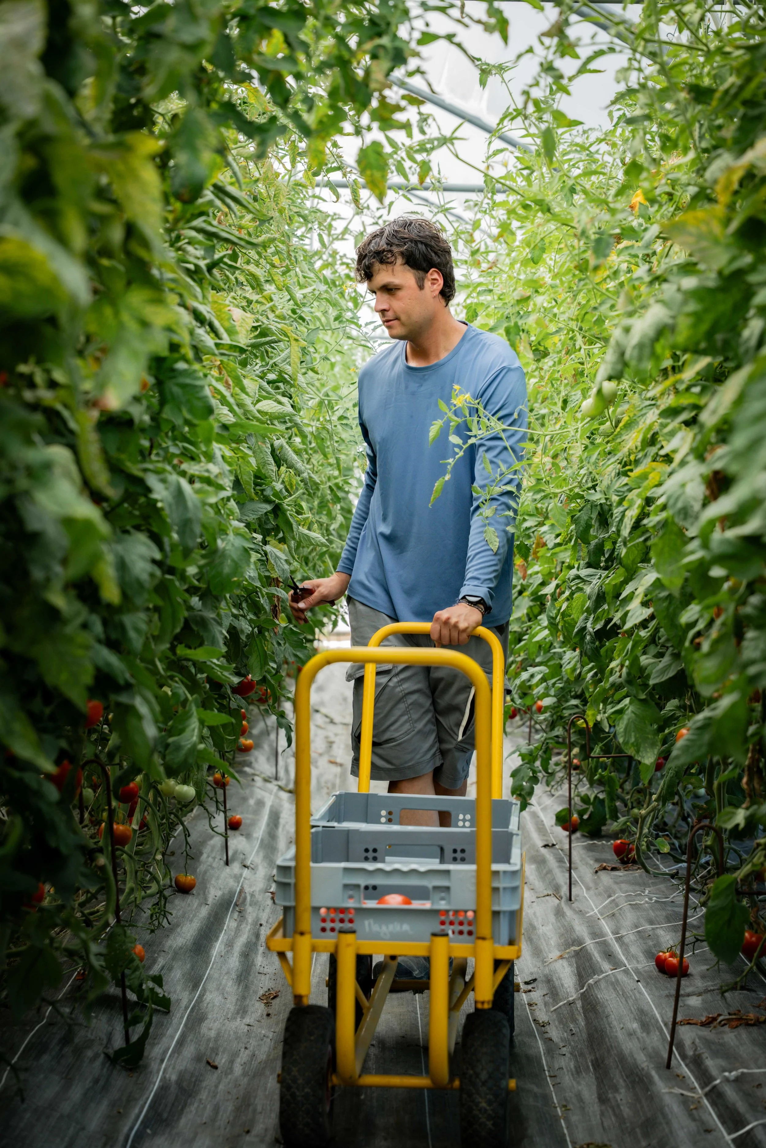 Reportage Photo corporate métiers pour CULTIVE Centre de Formation de producteurs à Montaigu-Vendée | Charlyne Labarre