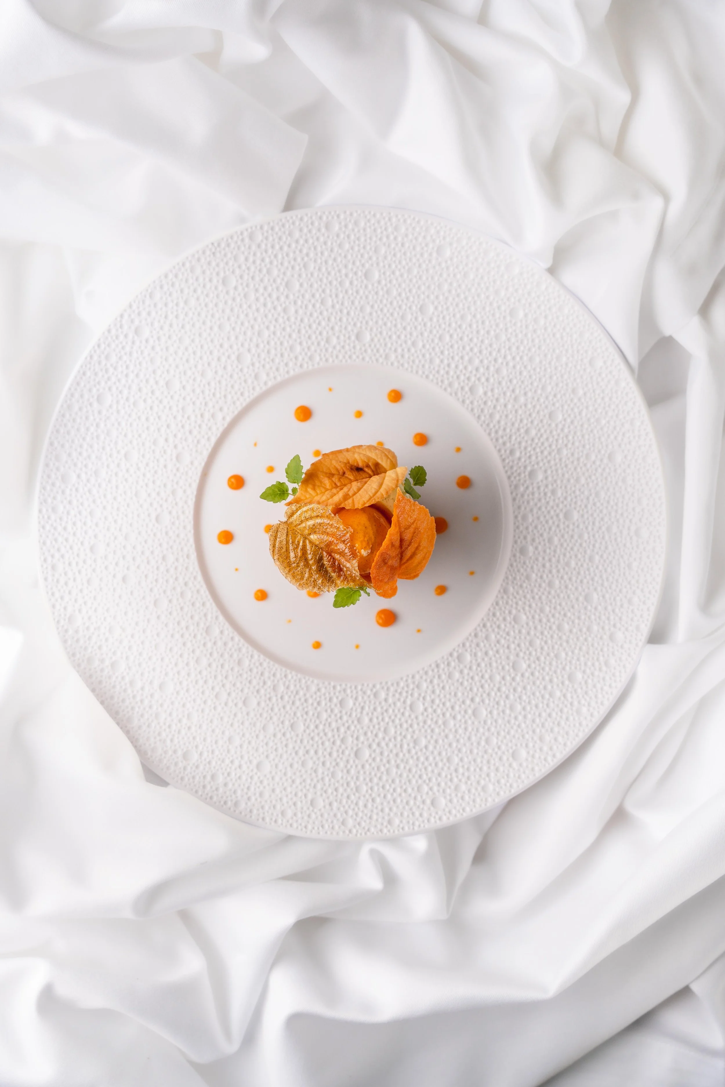 Matière BD 2026 ©Charlyne Labarre-42.jpg