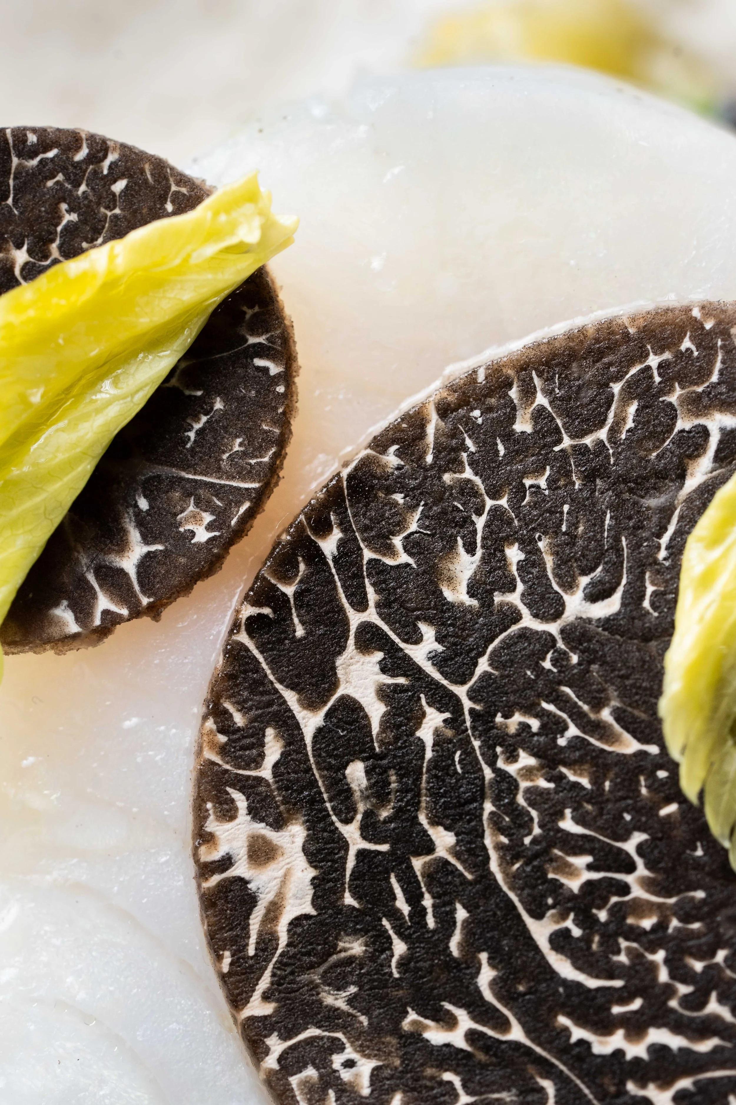 La Robe BD 2026 S1©Charlyne Labarre-4.jpg