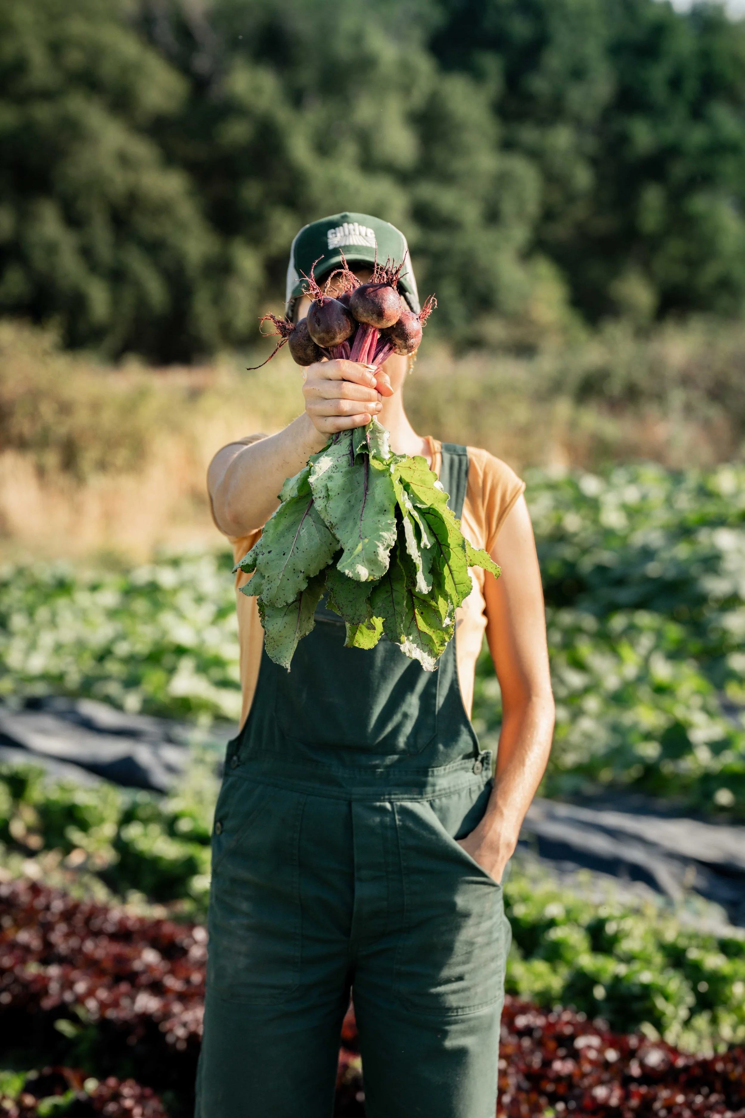 Une personne dans un champ, portant une casquette verte et un débardeur orange, tient un bouquet de betteraves devant son visage, avec des plantes vertes en arrière-plan.