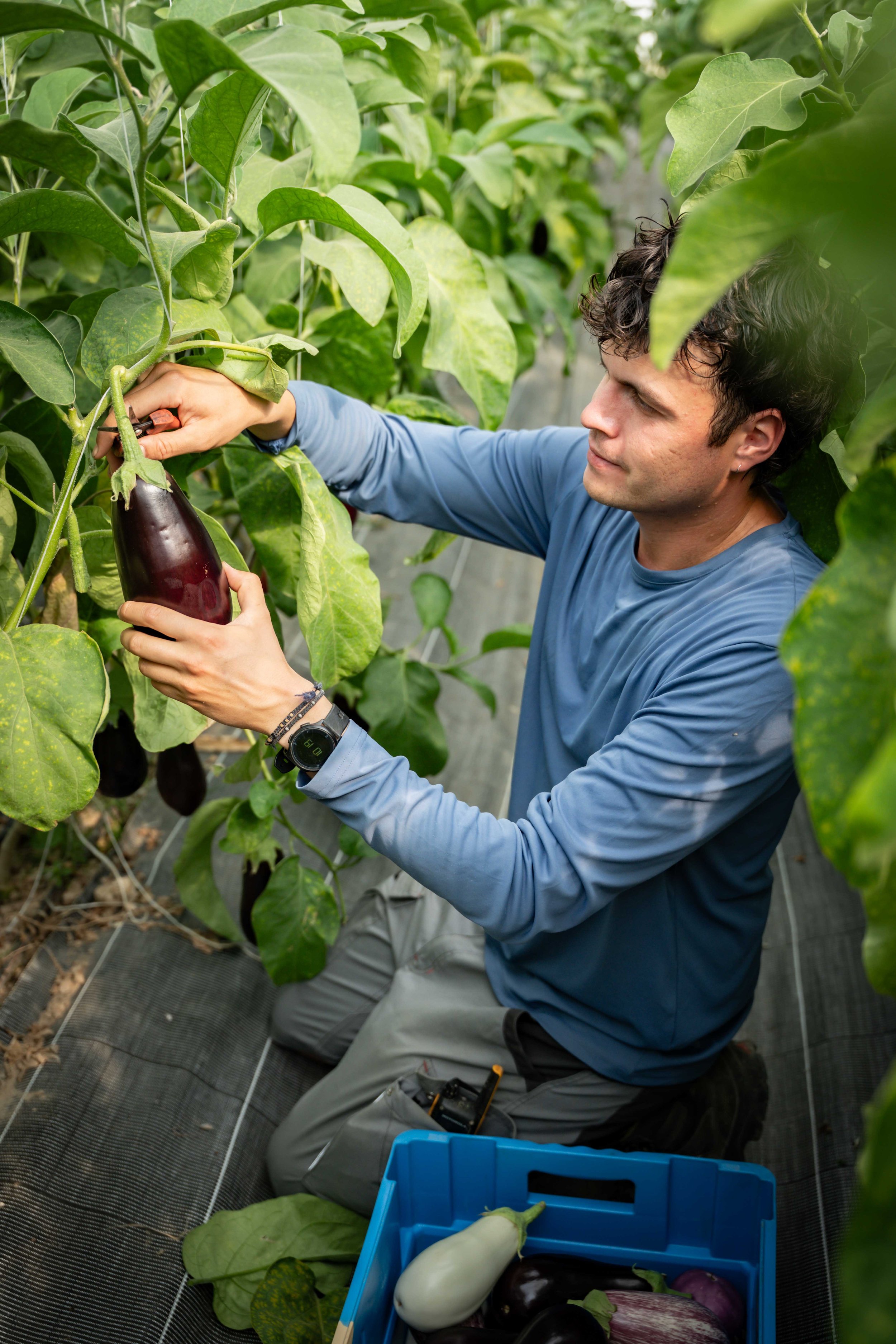 Reportage Photo corporate métiers pour CULTIVE Centre de Formation de producteurs à Montaigu-Vendée | Charlyne Labarre