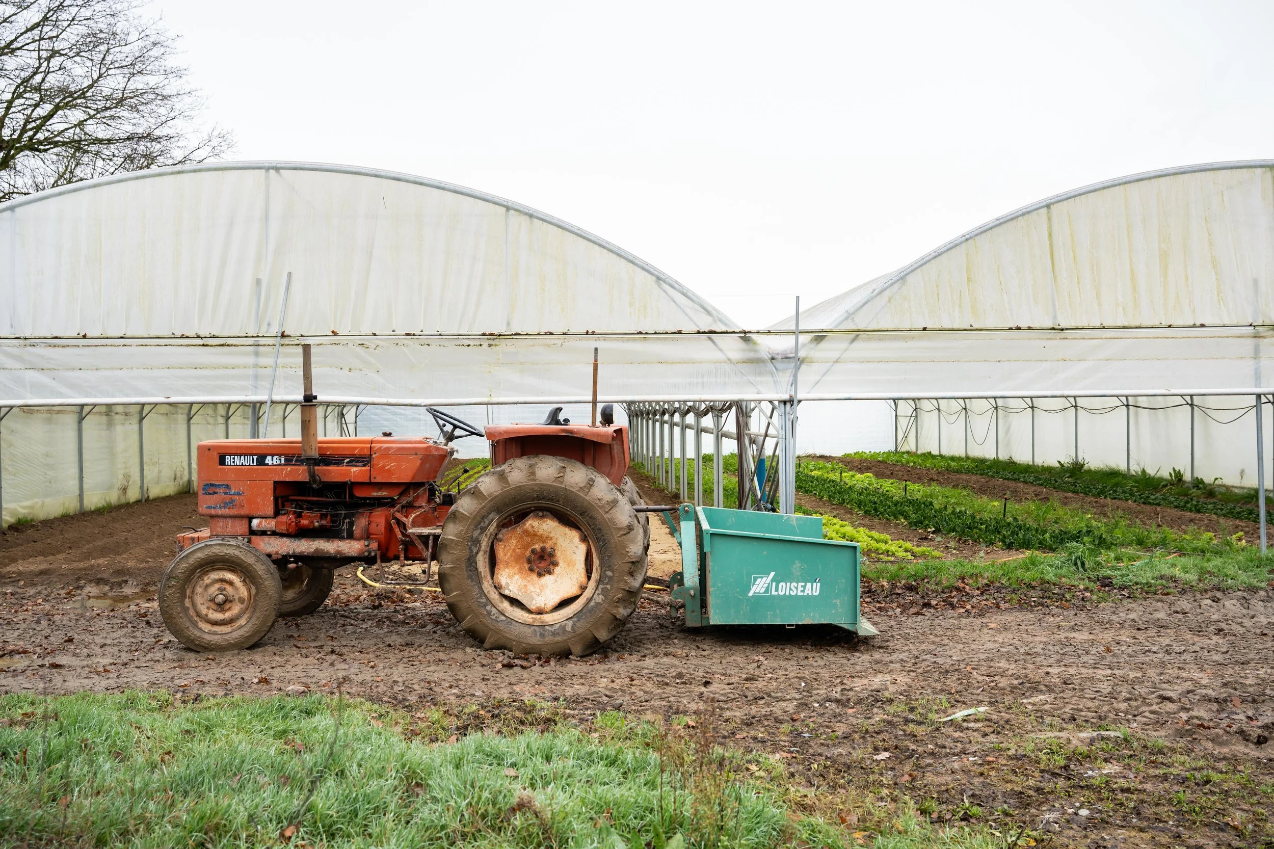 Matière BD 2026 s2©Charlyne Labarre-69.jpg