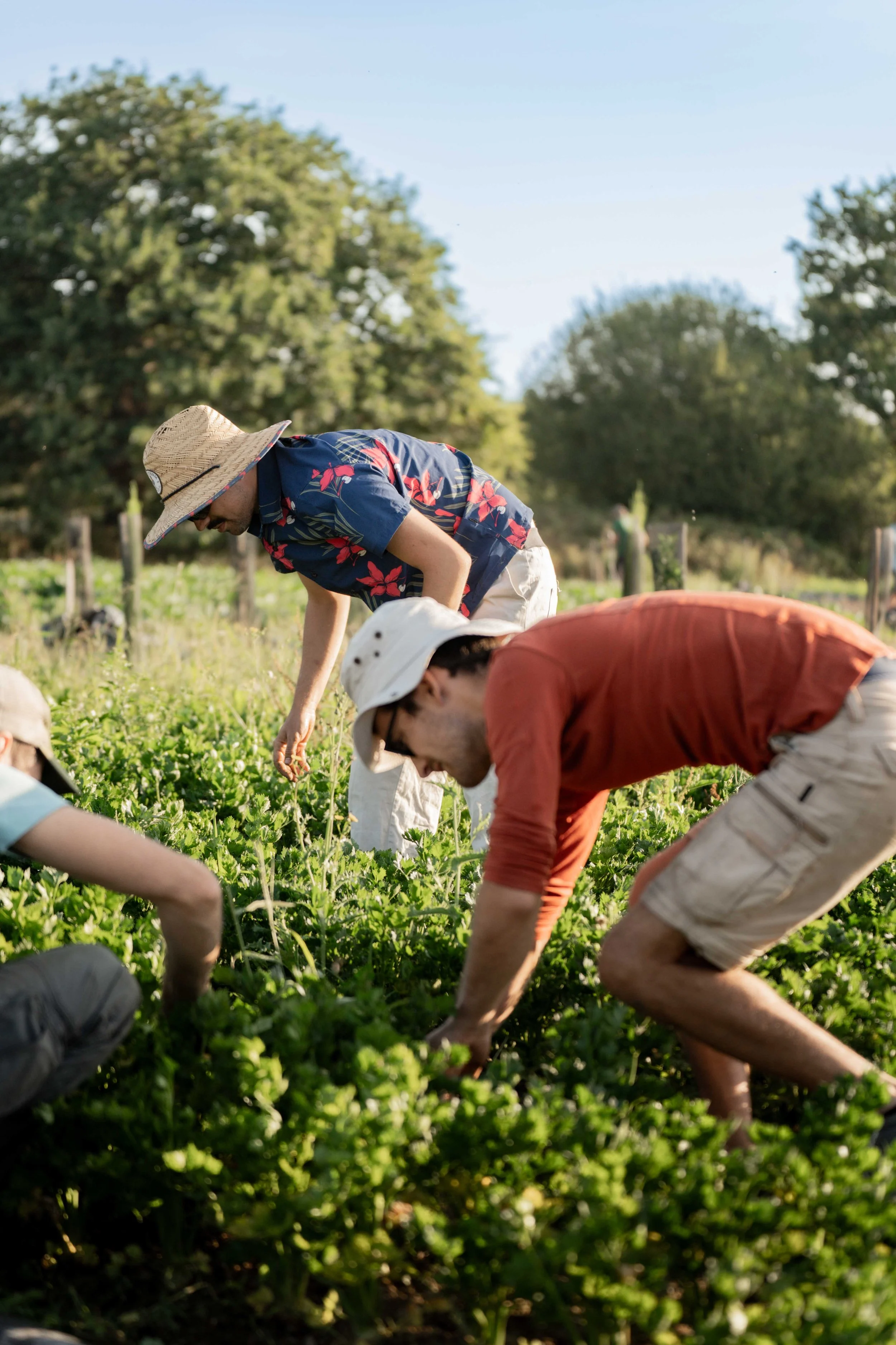 Reportage Photo corporate métiers pour CULTIVE Centre de Formation de producteurs à Montaigu-Vendée | Charlyne Labarre