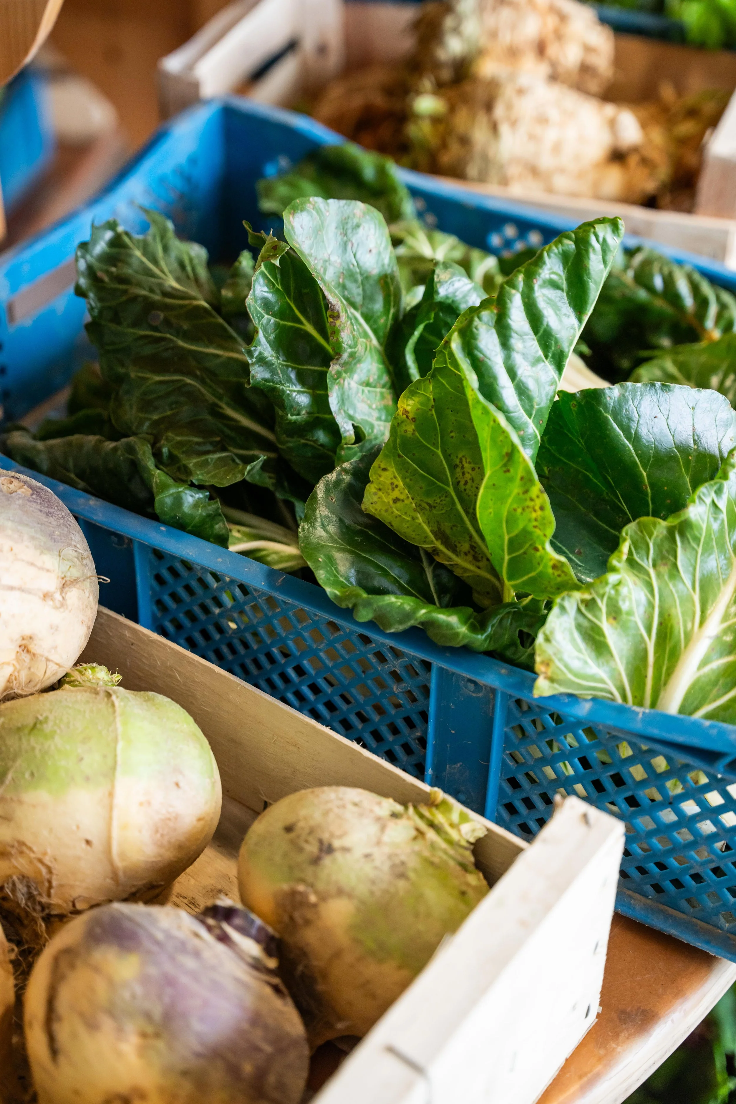 Matière BD 2026 s2©Charlyne Labarre-75.jpg