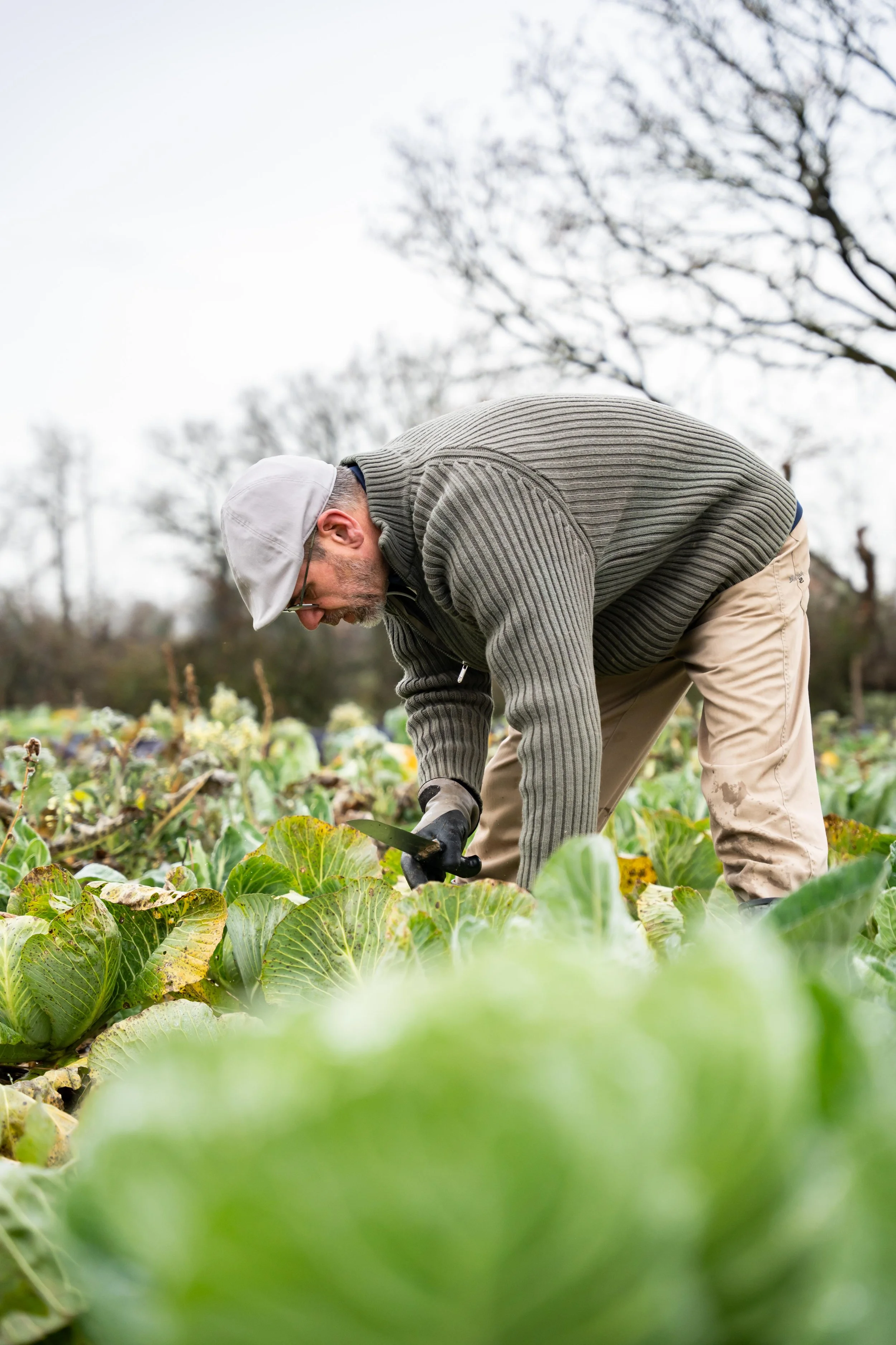Matière BD 2026 s2©Charlyne Labarre-62.jpg