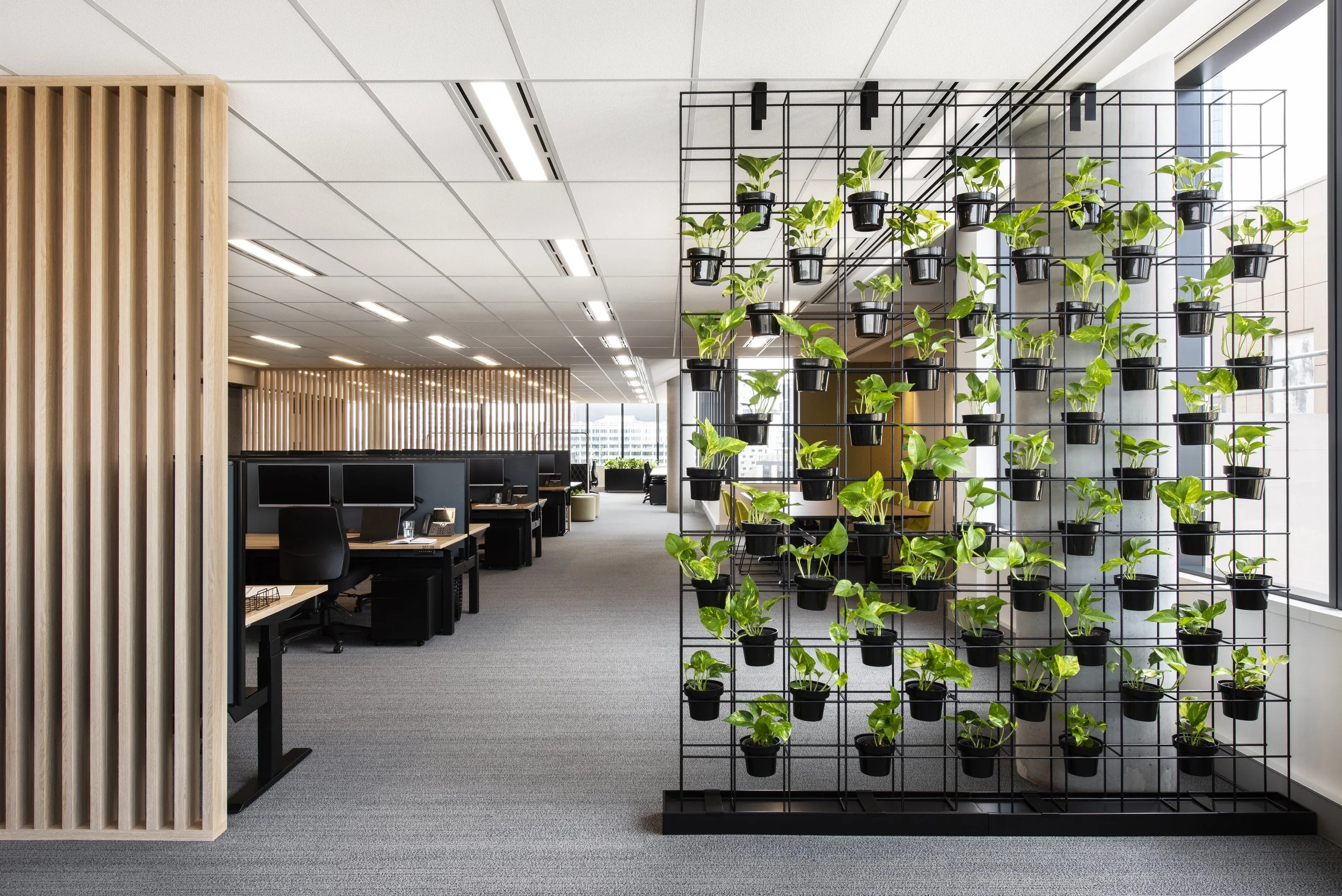 The University of Melbourne Office Fit-Out