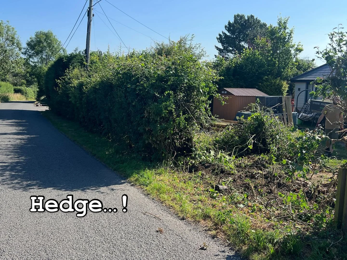 Big hedge rip out due to oversize, lots of dead branching and just so much space it took up.  Nice low maintenance fence installed and around 26m2 made up 👍🏼#fence #hedge #newfence #fenceideas  #landscpape #landscapeideas #landscaping #ʜᴀᴘᴘʏᴄᴜsᴛᴏᴍᴇ