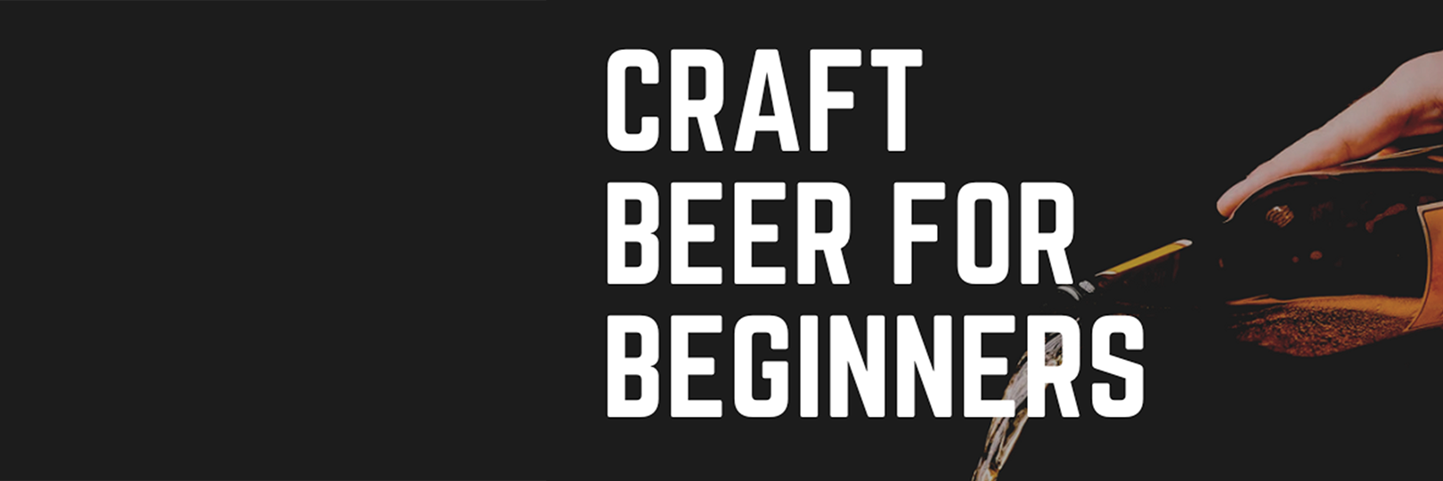 Cerveja Artesanal para Iniciantes: Por onde começar a tua aventura?