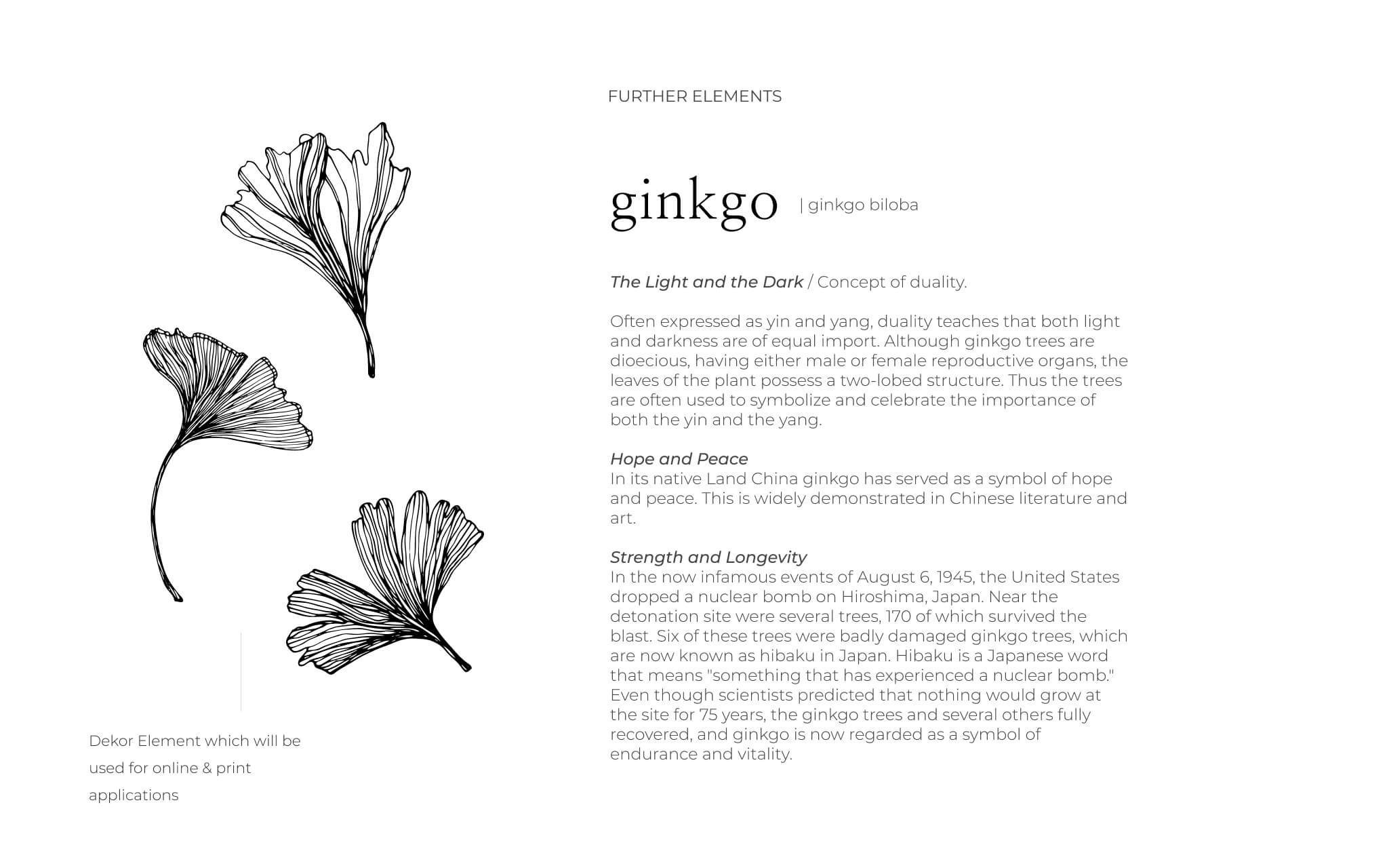 ginkgo.jpg