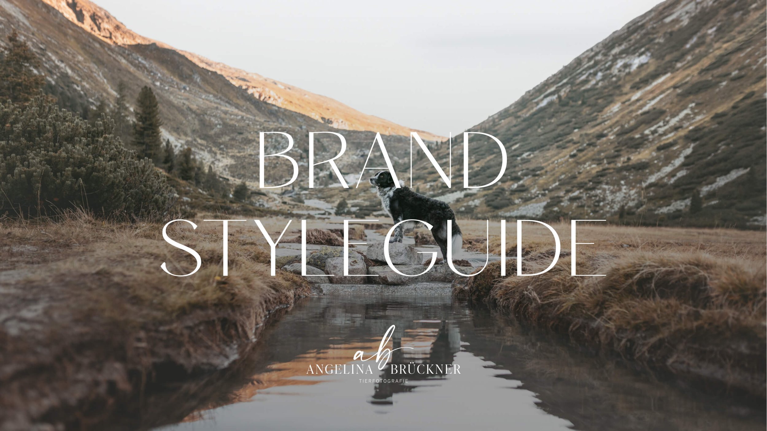 brand styleguide_1.jpg