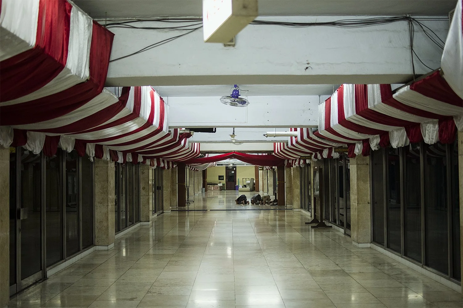 6D8A8605 copy.jpg