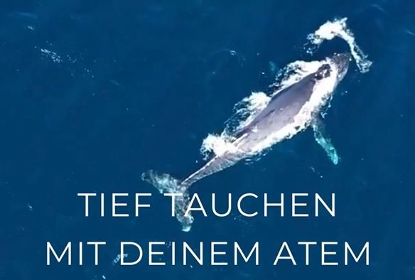 Breathwork/ Transformatives Atmen Gruppensession 