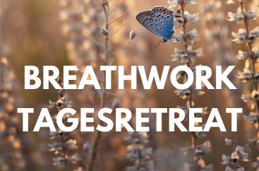 Breathwork Tagesretreat