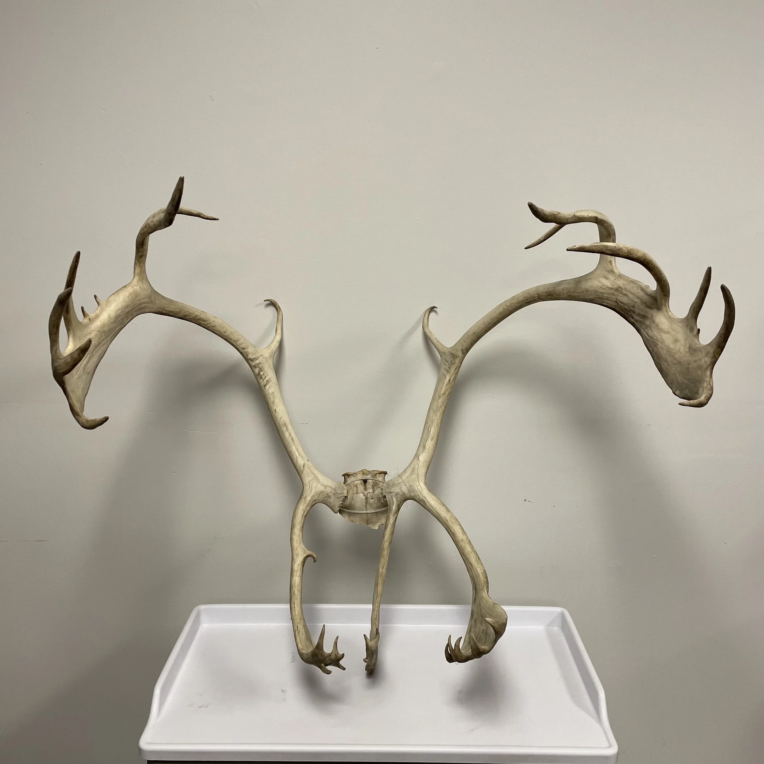 Photo Oct 04 2024, 3 20 46 PM (1).jpg