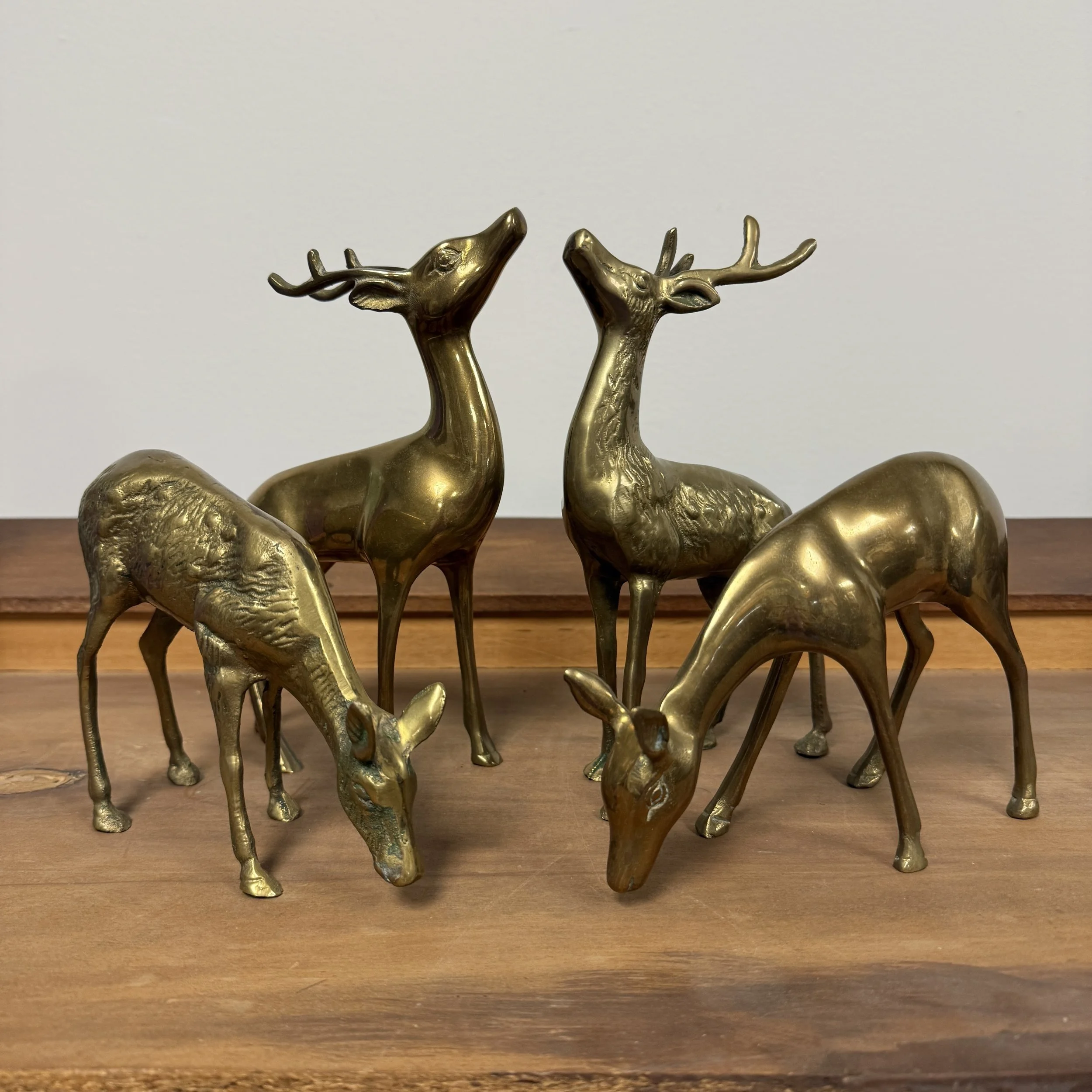 Photo Apr 16 2025, 10 01 20 AM.jpg