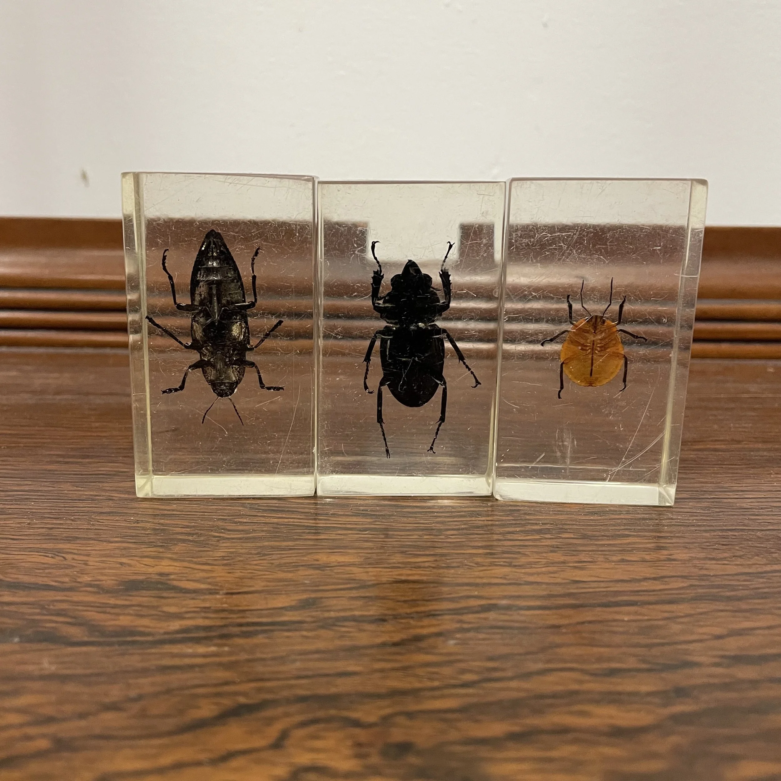 Photo Feb 10 2025, 9 25 40 AM.jpg