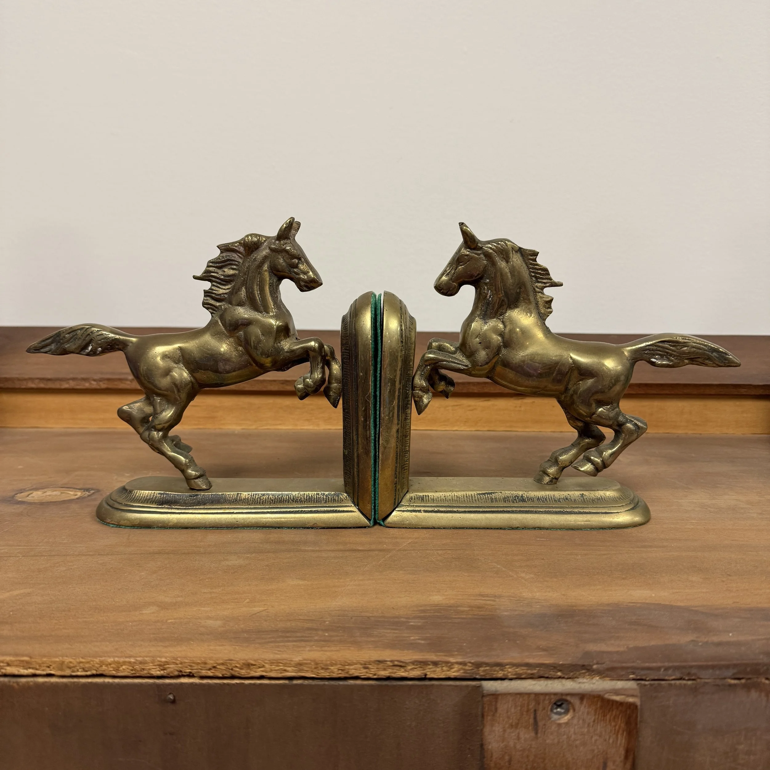 Photo Apr 16 2025, 9 51 19 AM.jpg