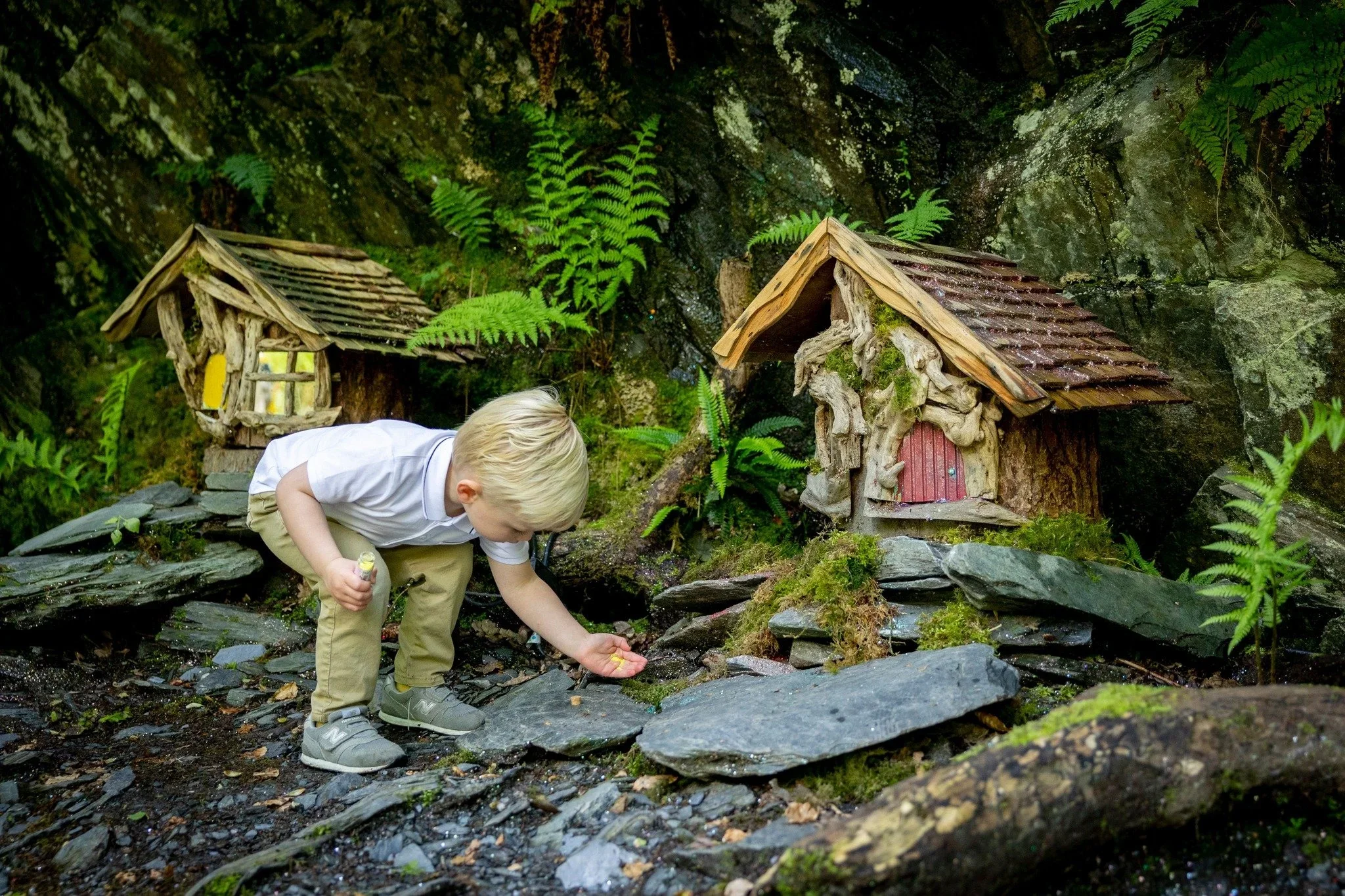 Loch Lomond Faerie Trail