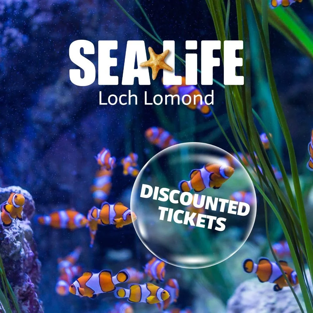Services 1 — Loch Lomond Arms
