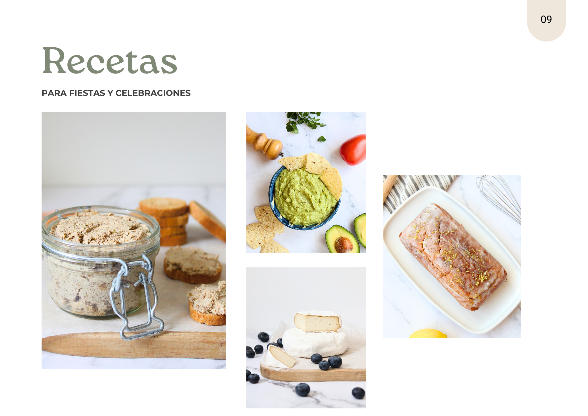 Ebook Ideas veganas fiestas y celebraciones (3).png