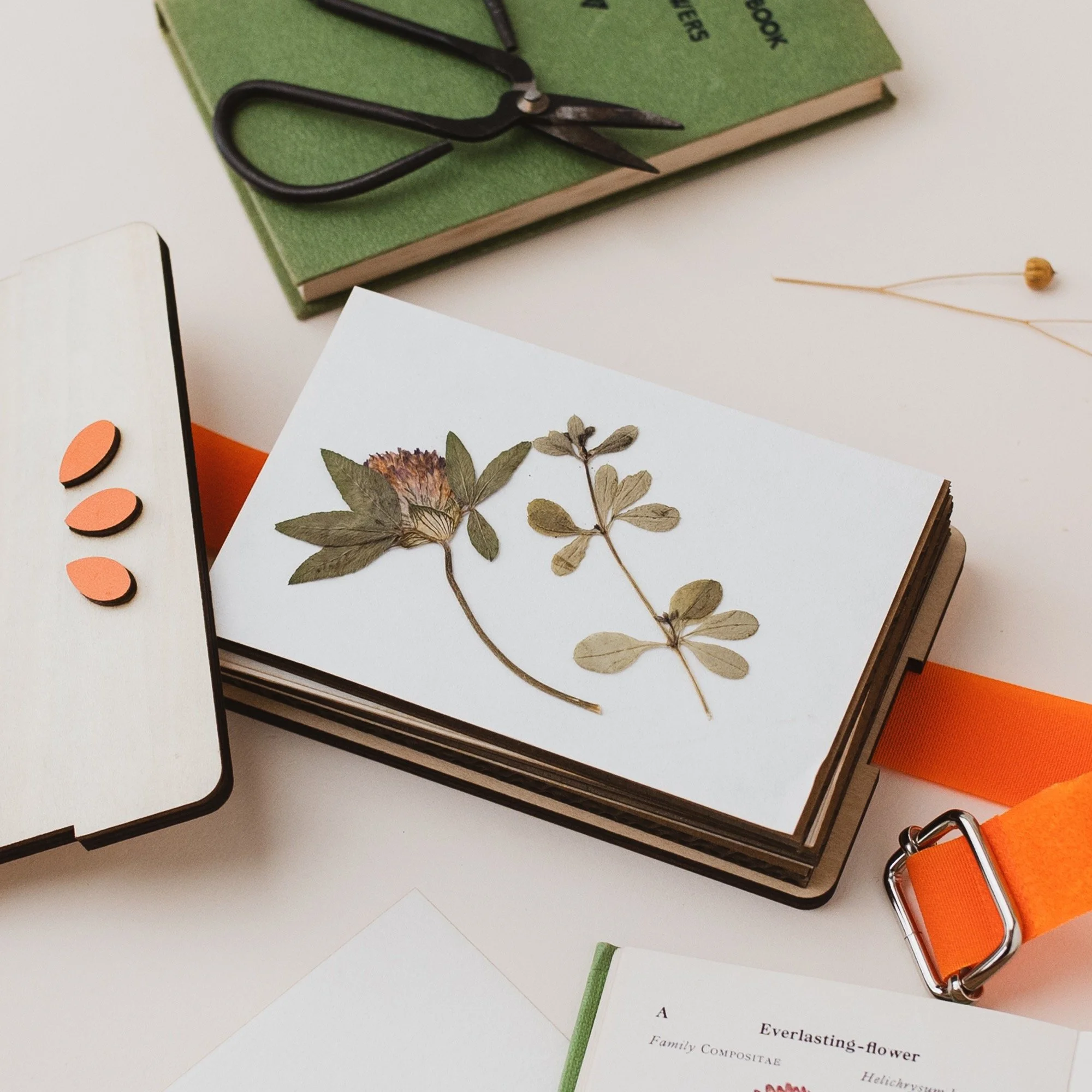 flowerpress-5-my-papercut-forest.jpg