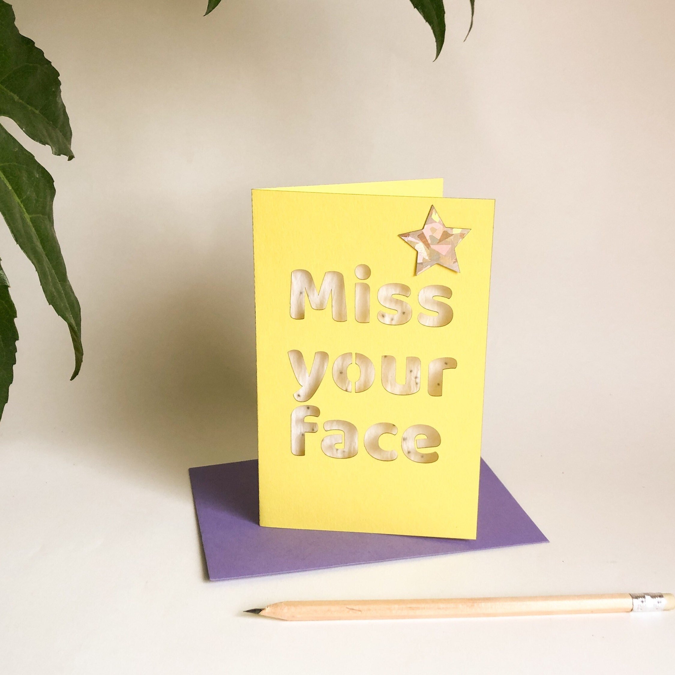 https://i.etsystatic.com/6891259/r/il/d397b0/3247661476/il_fullxfull.3247661476_96bd.jpg