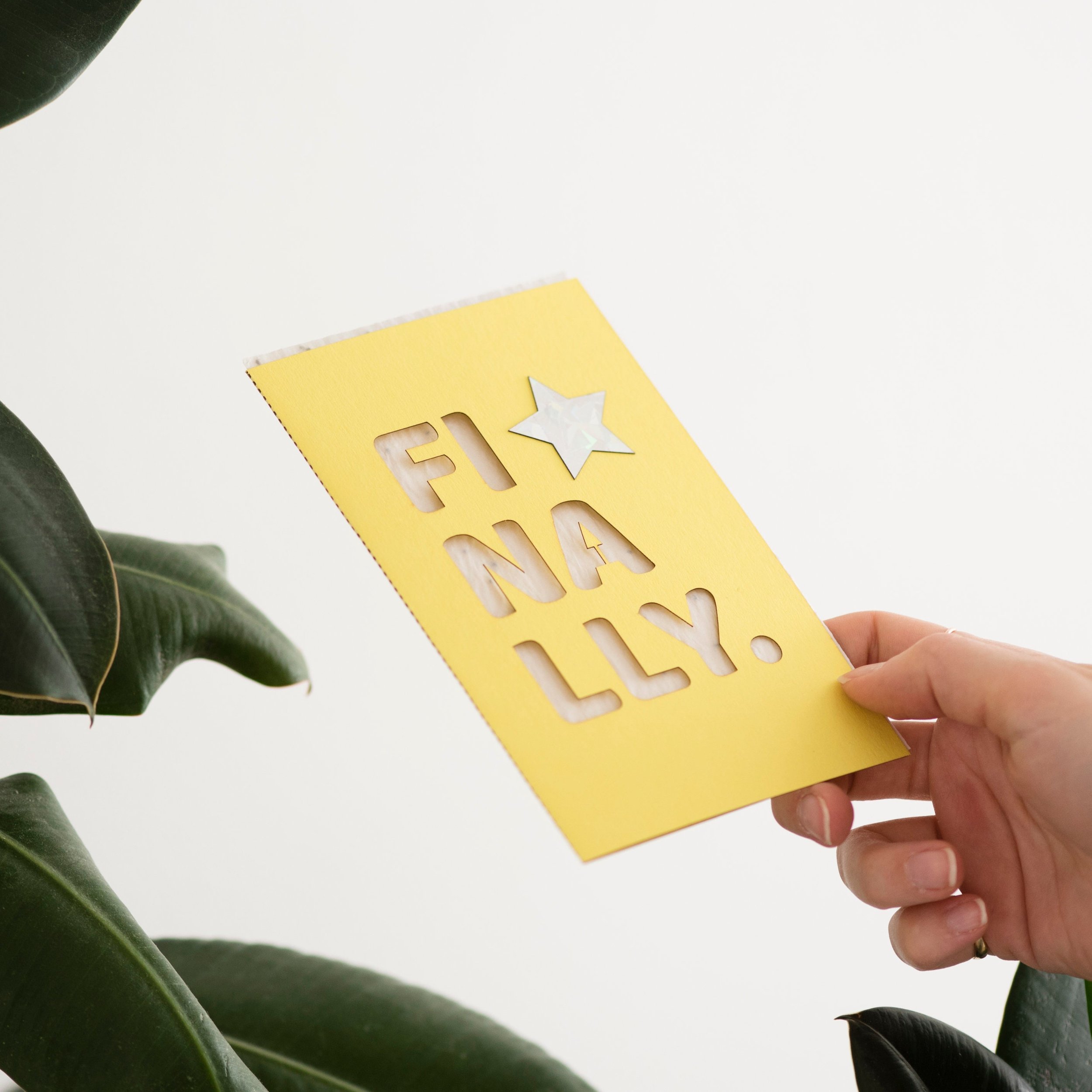https://i.etsystatic.com/6891259/r/il/946438/3295349989/il_fullxfull.3295349989_1o1e.jpg