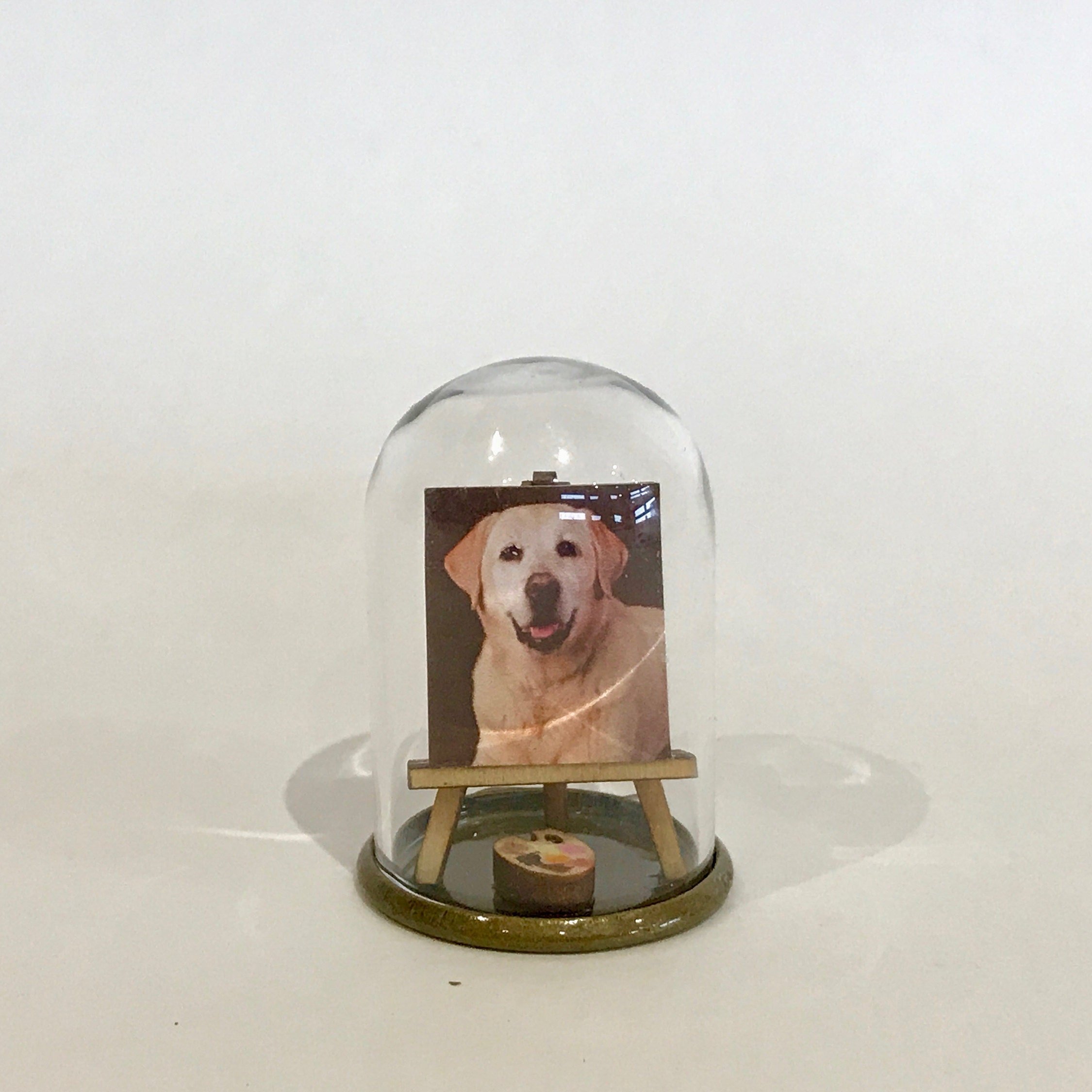 https://i.etsystatic.com/6891259/r/il/8c3dbd/2409913158/il_fullxfull.2409913158_mxbn.jpg