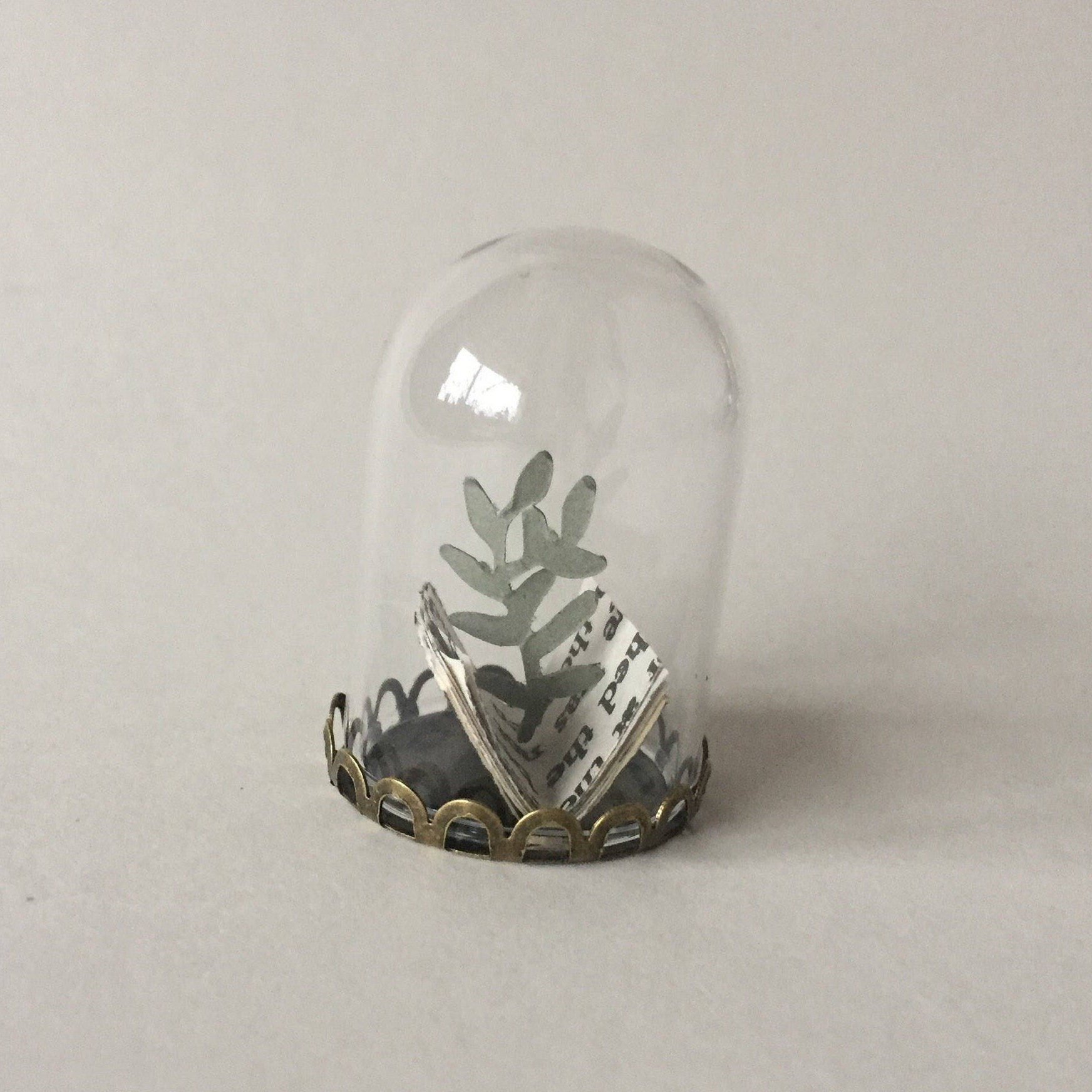 https://i.etsystatic.com/6891259/r/il/b2e941/2581224920/il_fullxfull.2581224920_5g3t.jpg