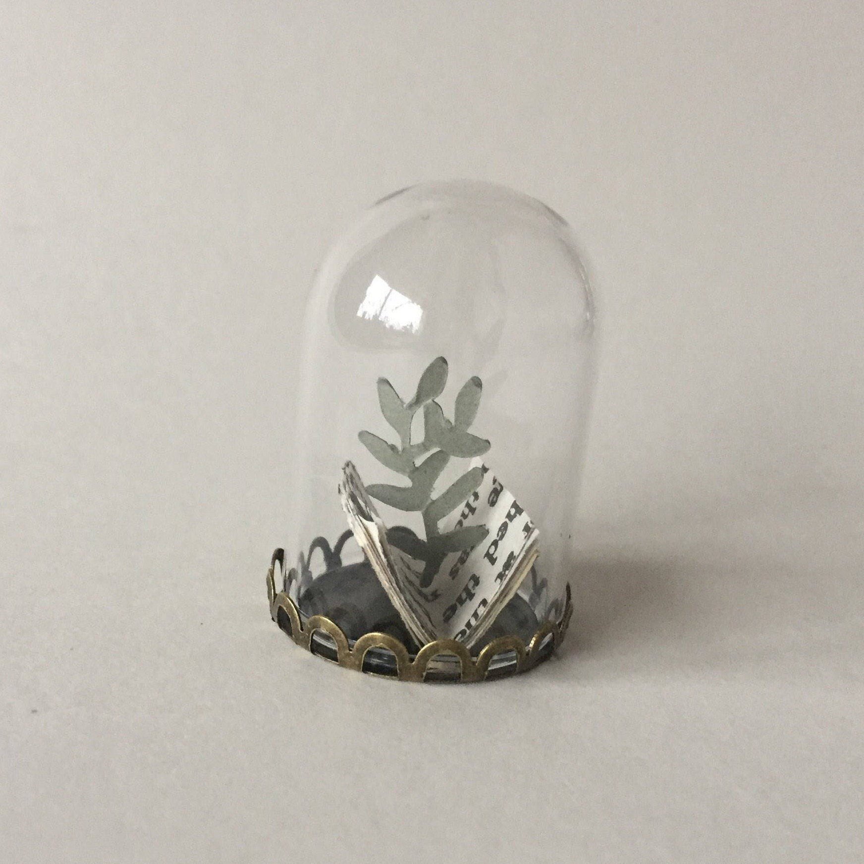 https://i.etsystatic.com/6891259/r/il/f427fb/2581216454/il_fullxfull.2581216454_hy5x.jpg