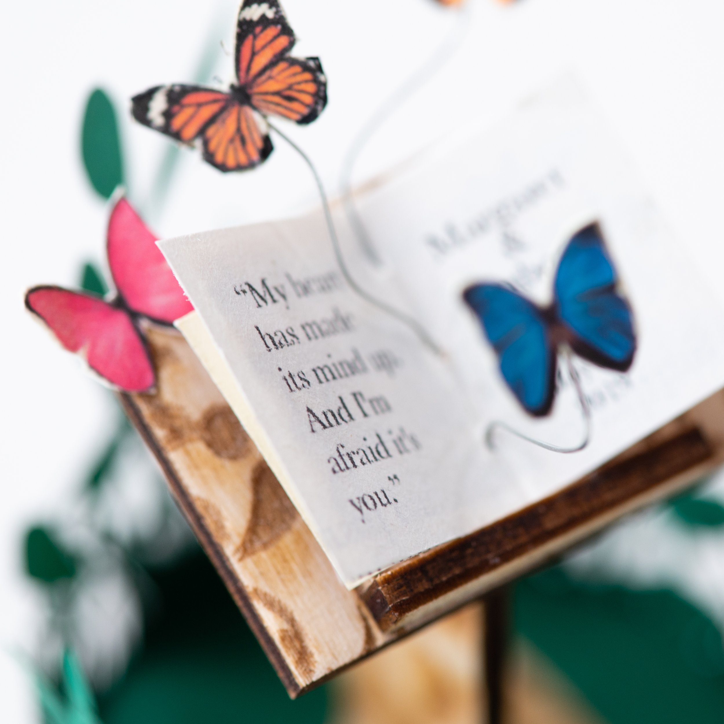 MyPapercutForest-HB-March22-31.jpg
