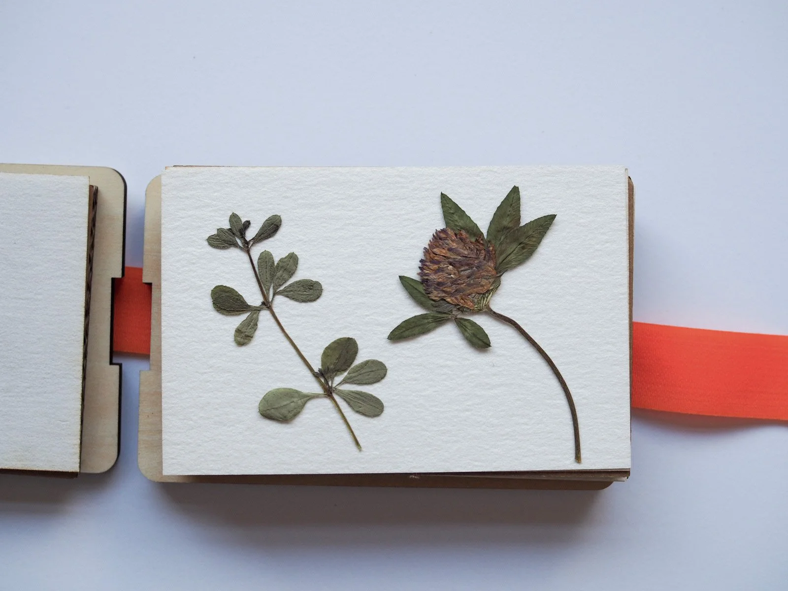 flowerpress-mypapercutforest3.JPG