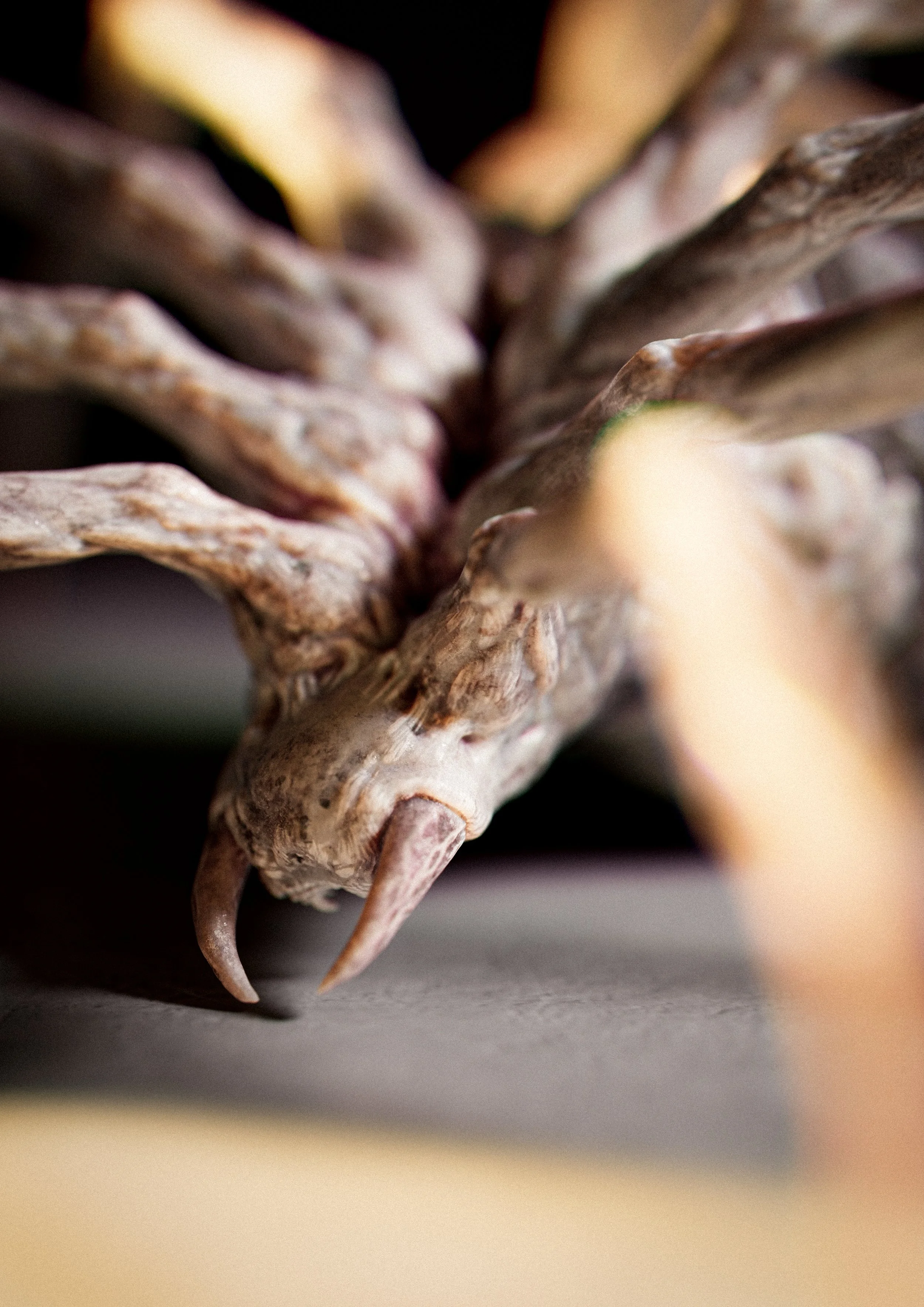 macro_01_solosun0062.jpg