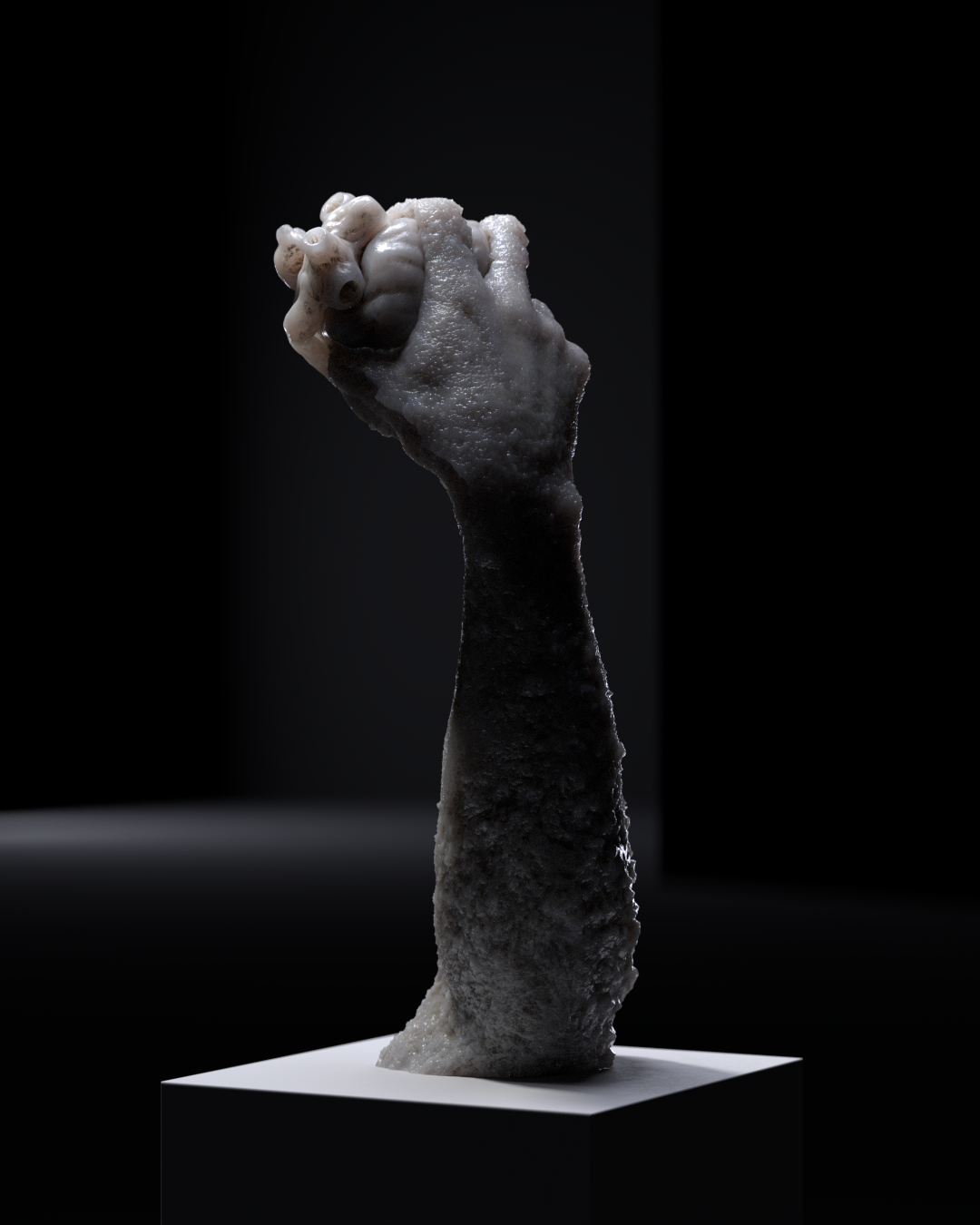 Tuo by Simone Vezzani