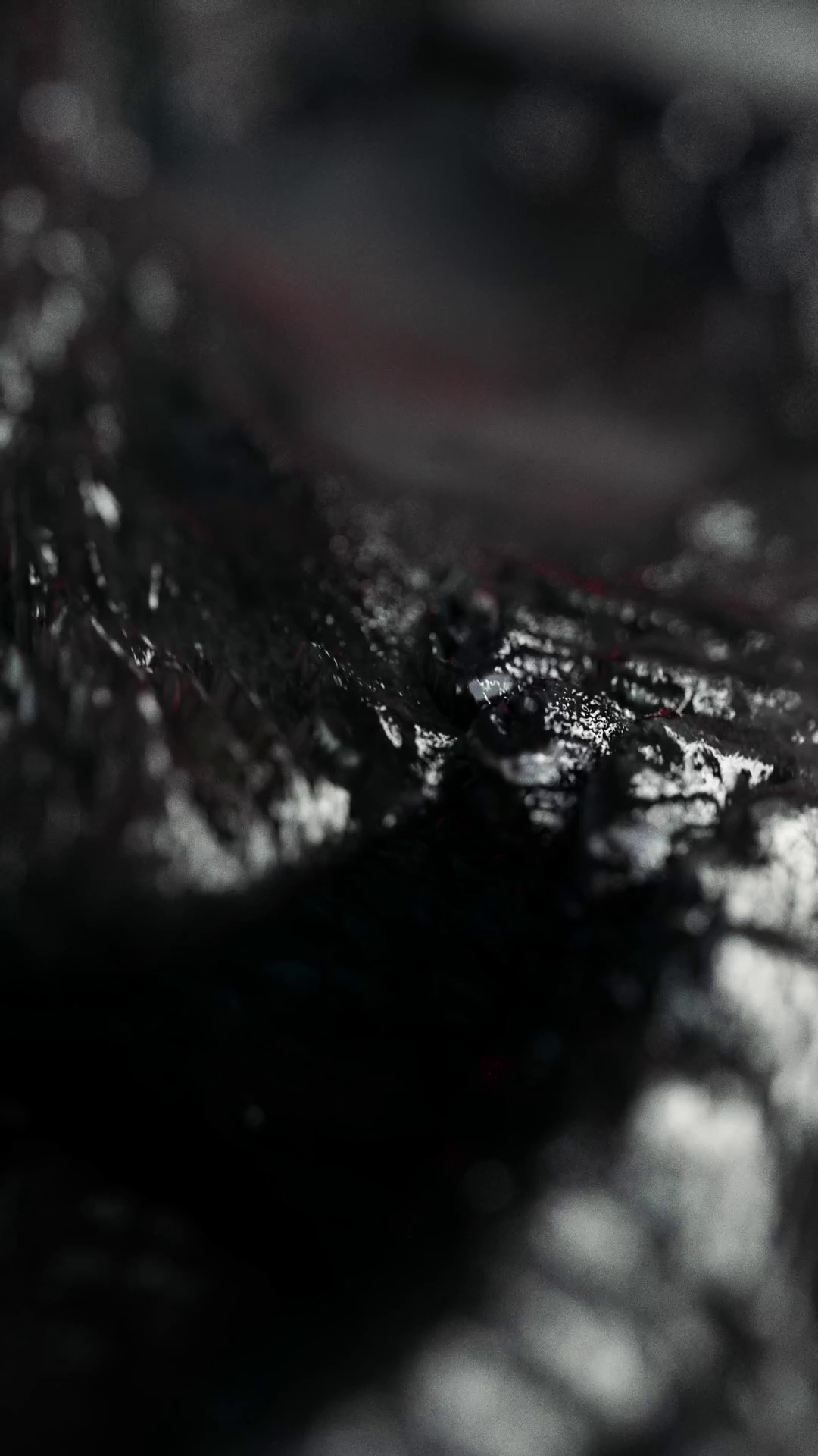 vlcsnap-2023-01-21-13h12m45s203.png