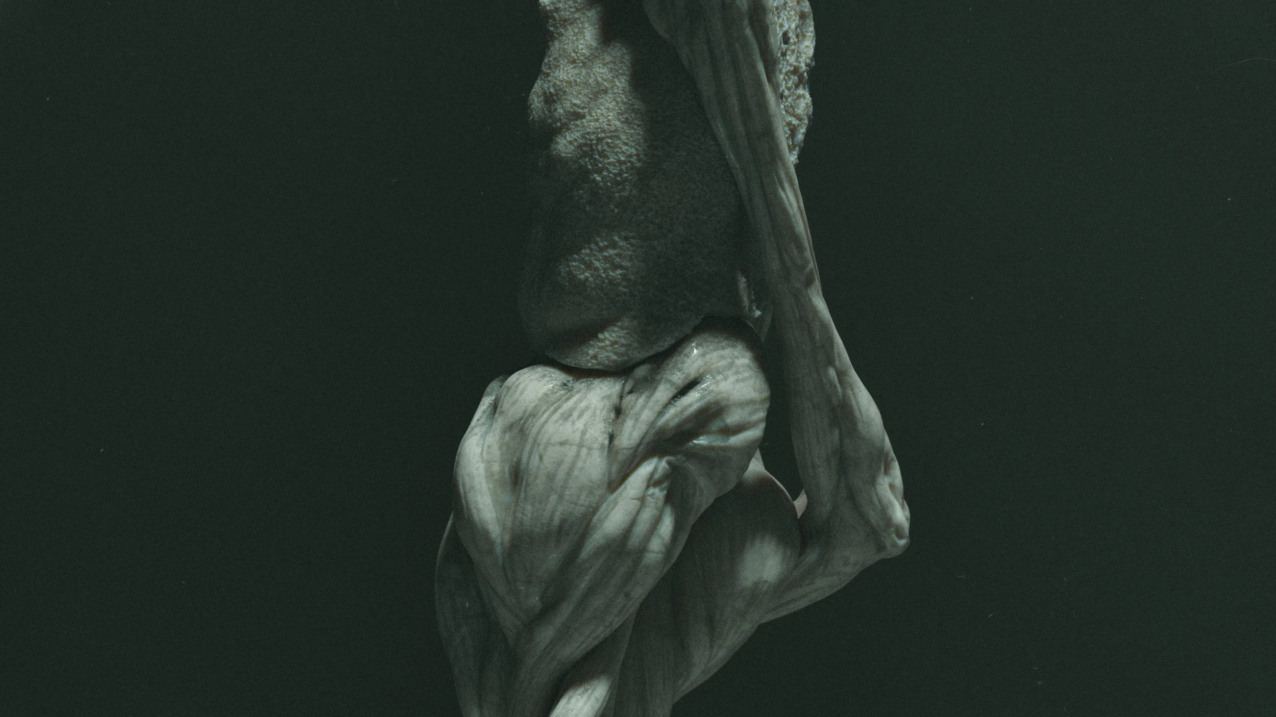 Massimone by Simone Vezzani