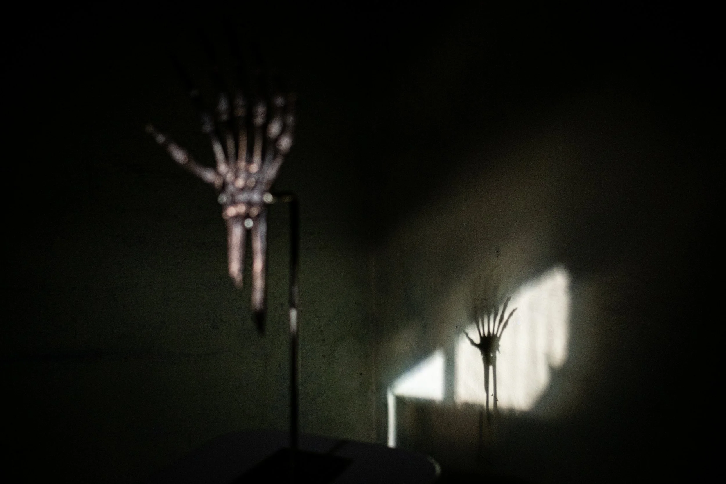 DSCF8647.jpg