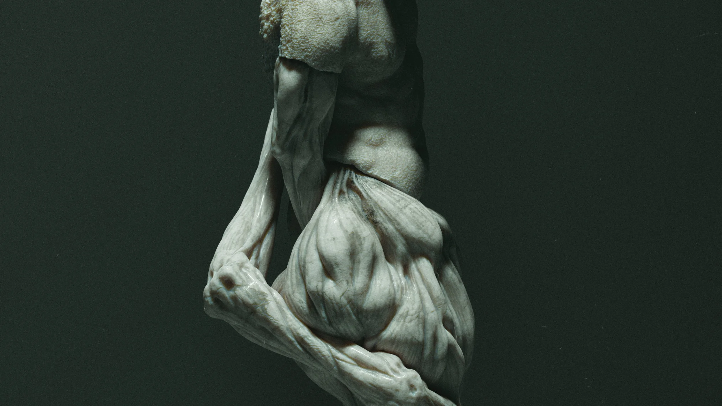 Massimone by Simone Vezzani