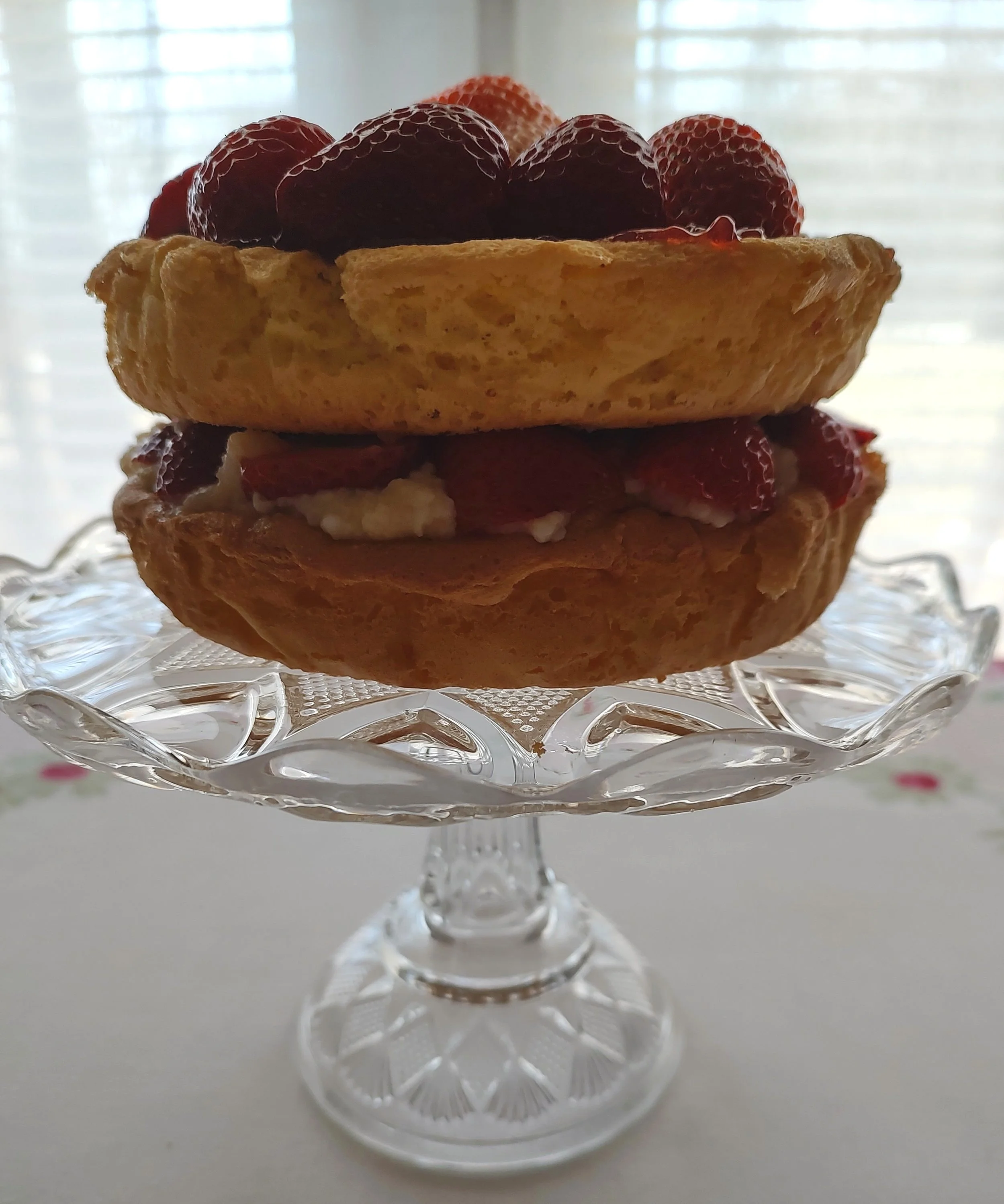 Edmonds Fielder’s Classic Sponge