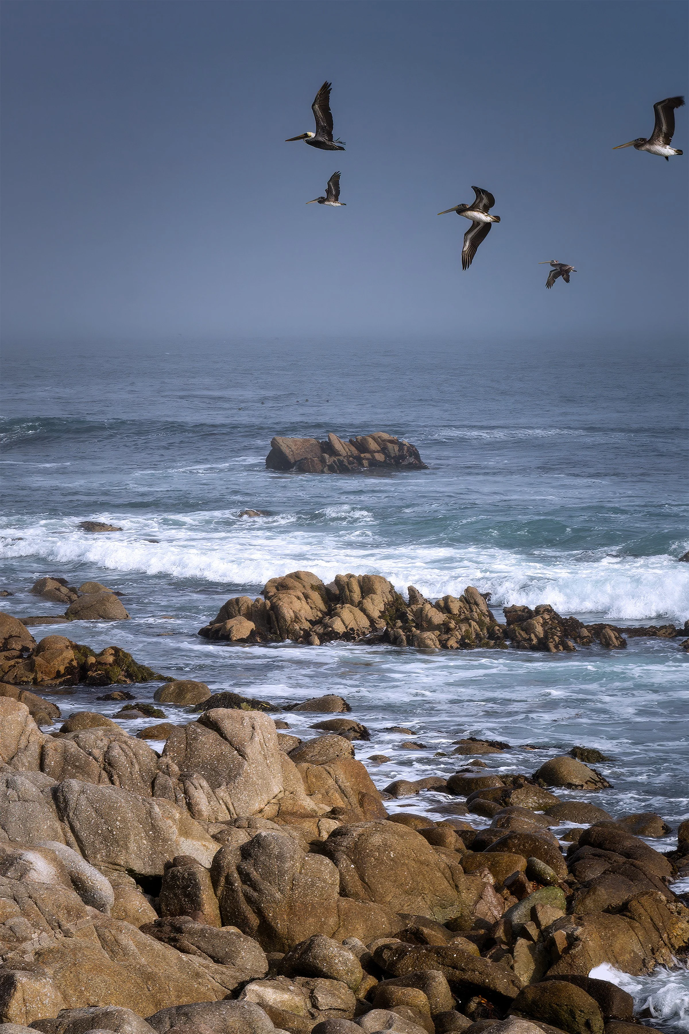Asilomar_3101.jpg