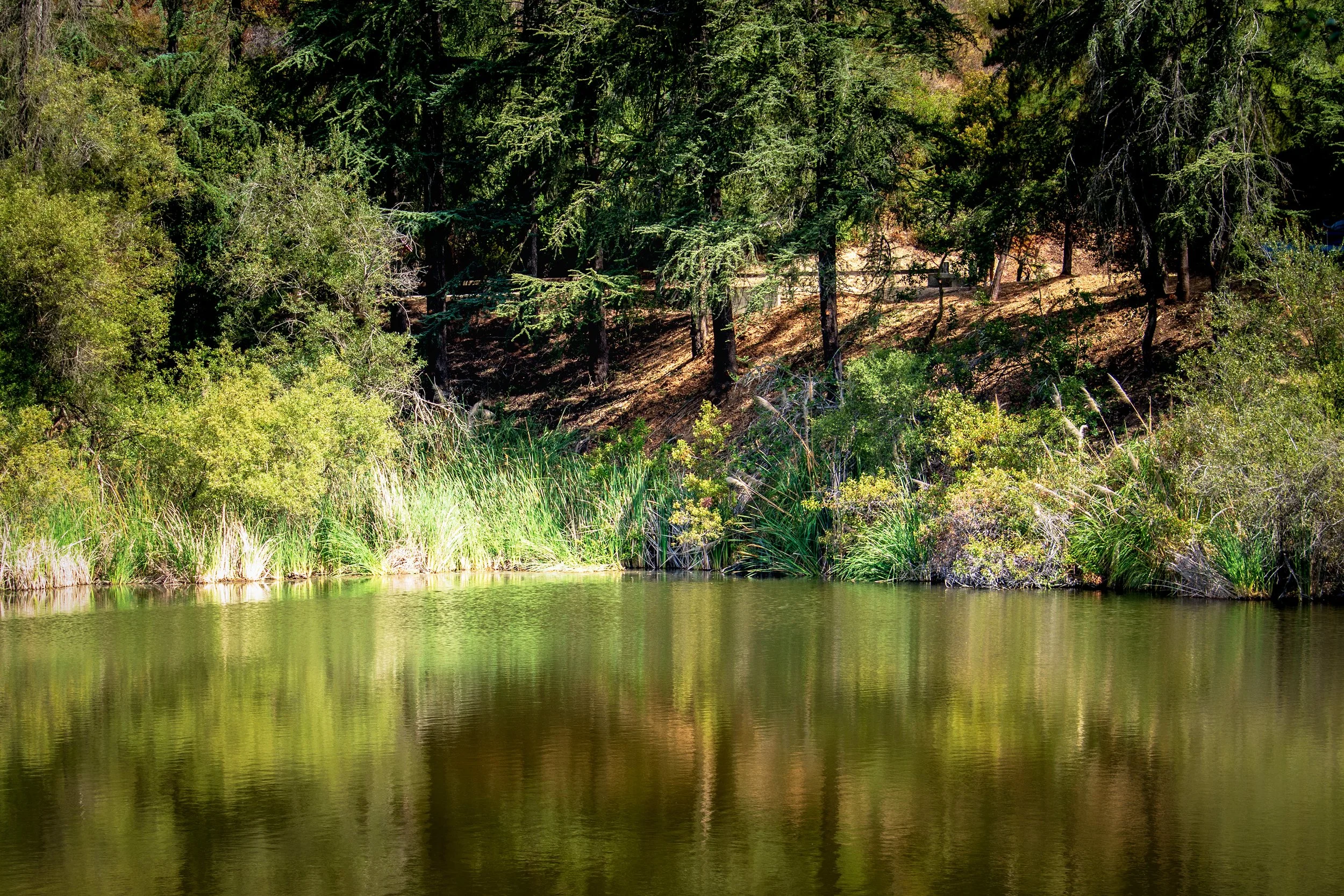 Franklin Canyon Lake_2561-Edit.jpg