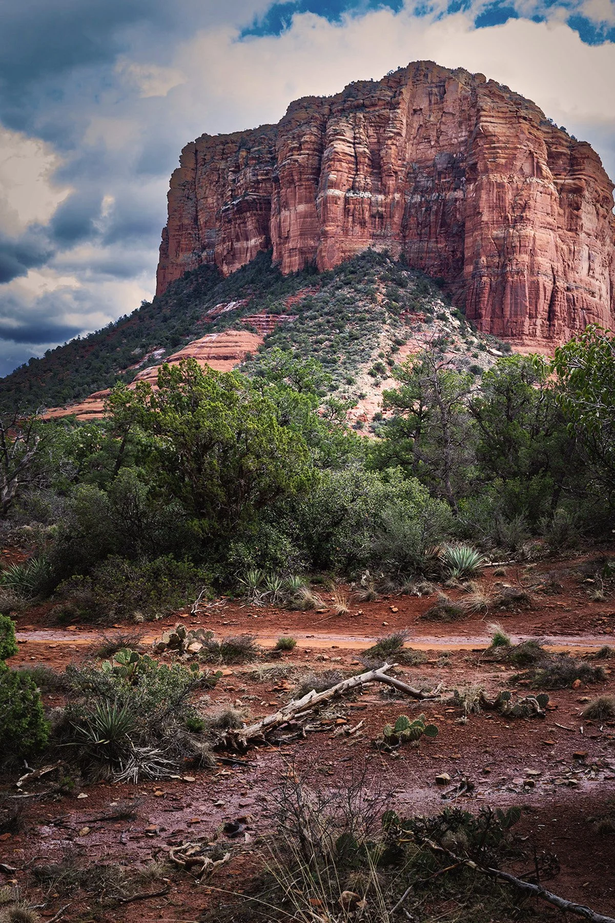Sedona_9817.jpg