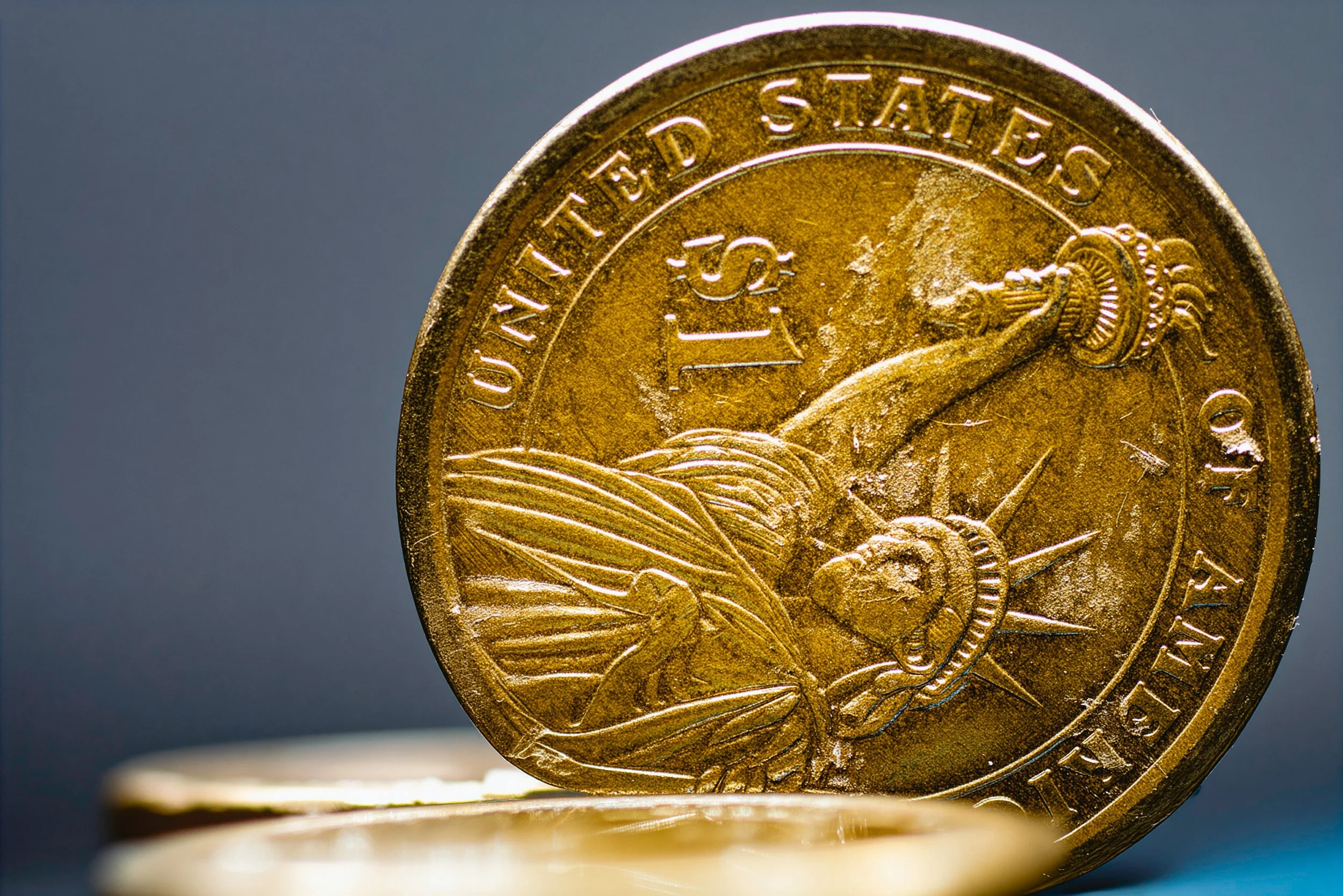 Dollar Coin_0363.jpg