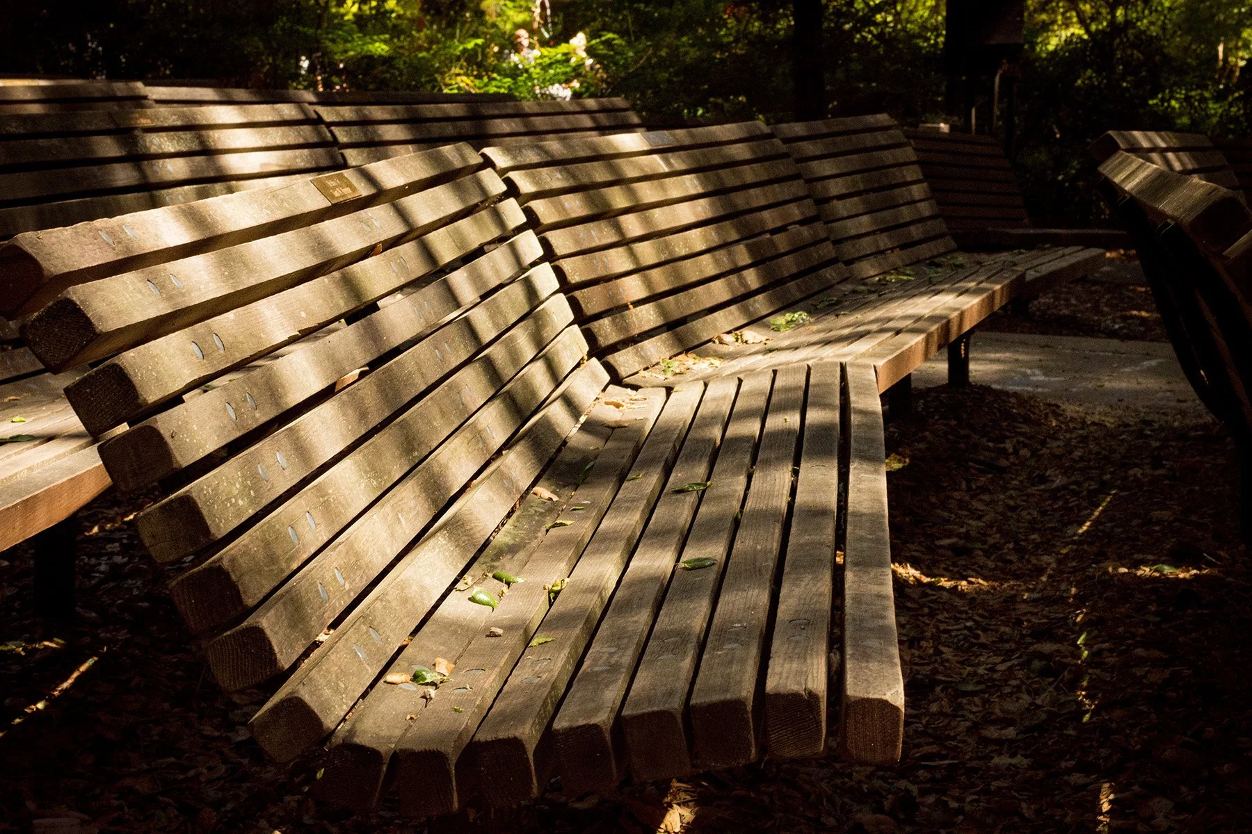 Benches, Descanso Gardens